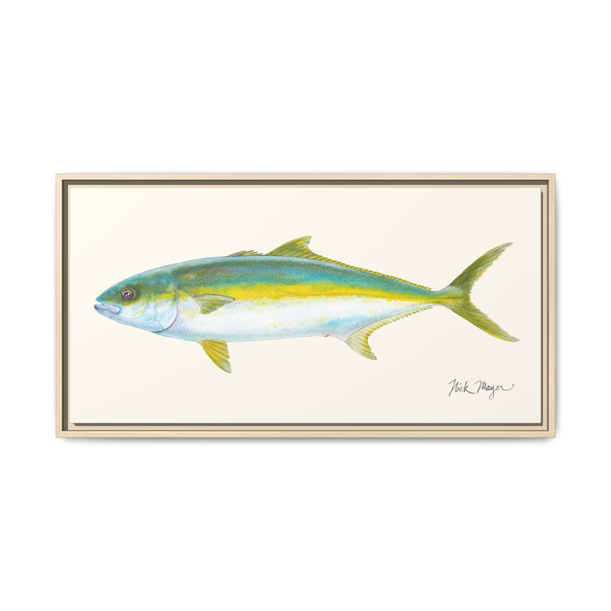 California Yellowtail I Framed Canvas Print Printify