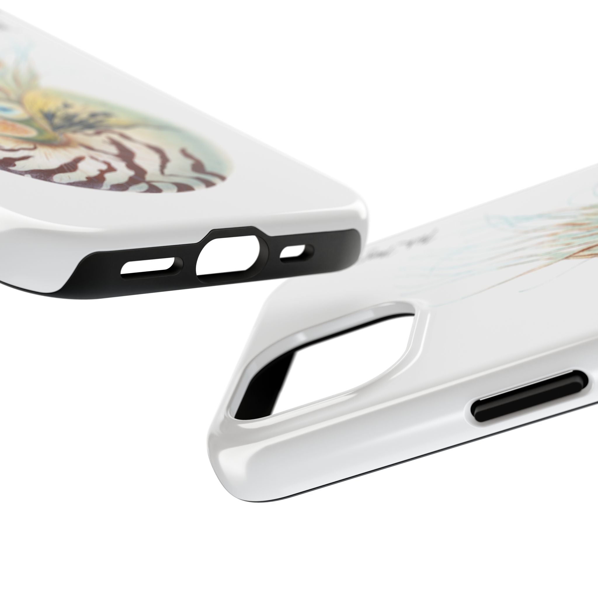 Chambered Nautilus Phone Case (iPhone)