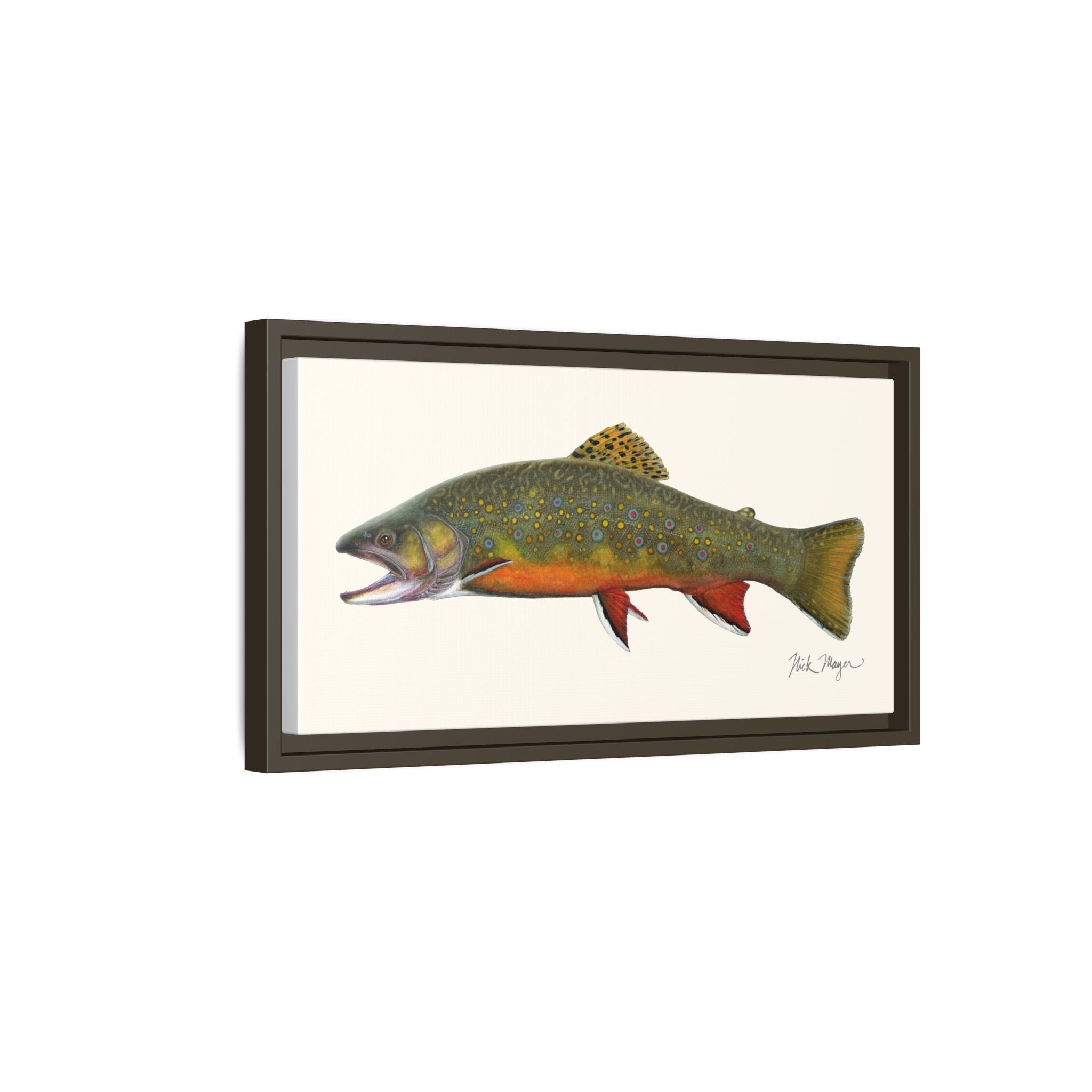 Beaver Pond Brook Trout Framed Canvas Print Printify
