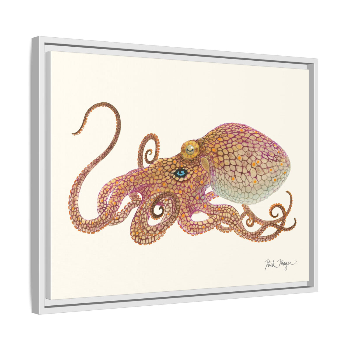 Two Spot Octopus Framed Canvas Print Printify