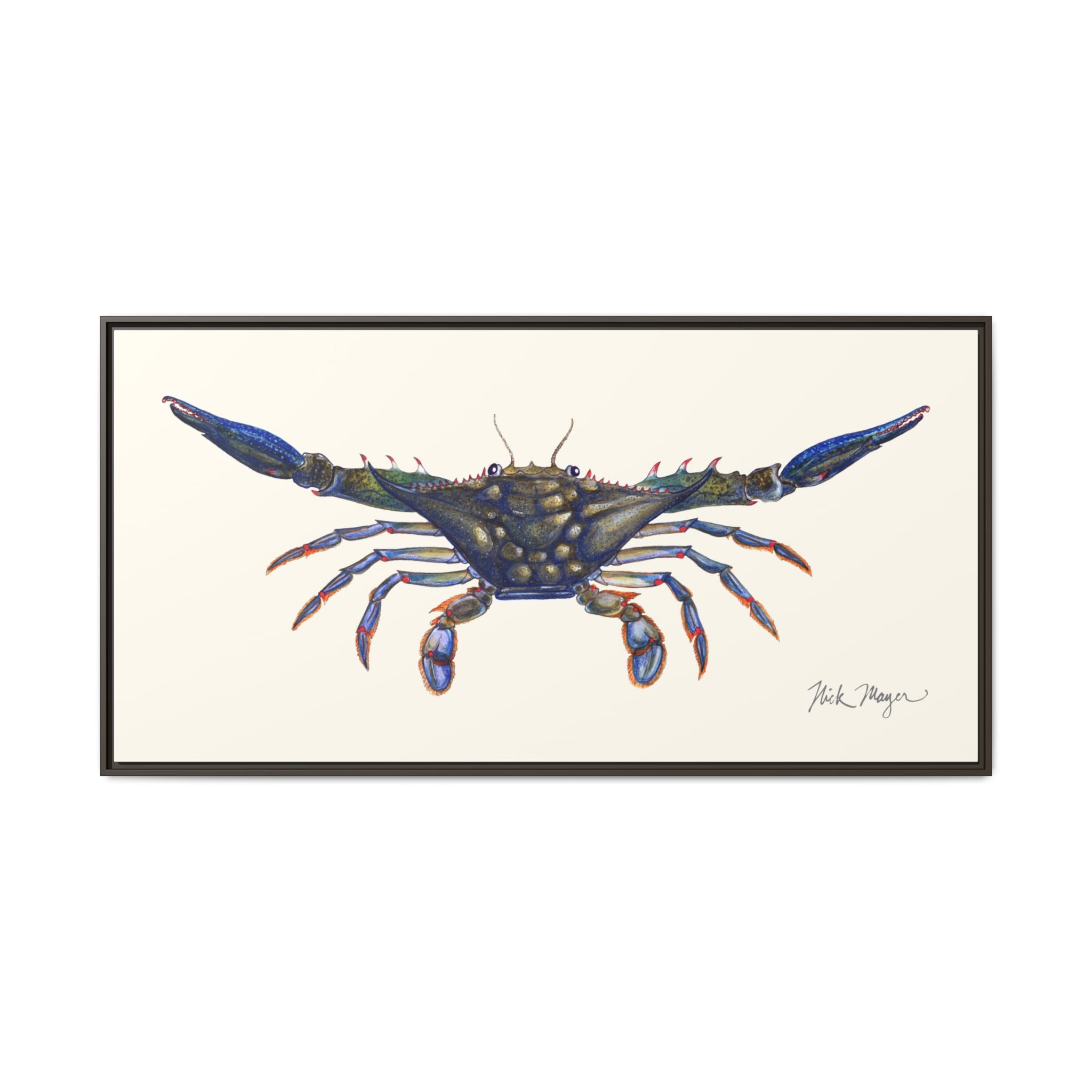 Blue Crab, Claws Out Framed Canvas Print Printify