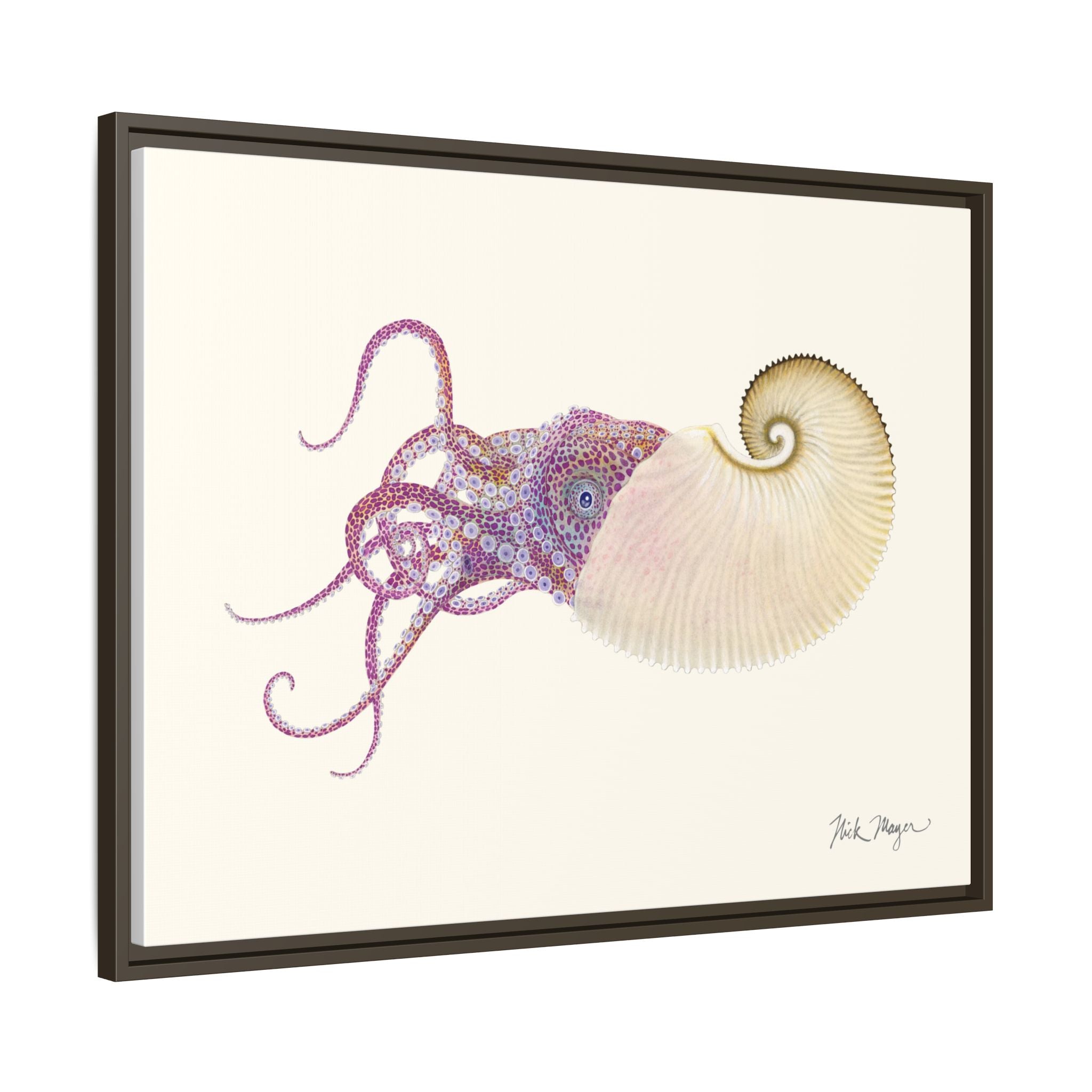 Paper Nautilus Framed Canvas Print Printify
