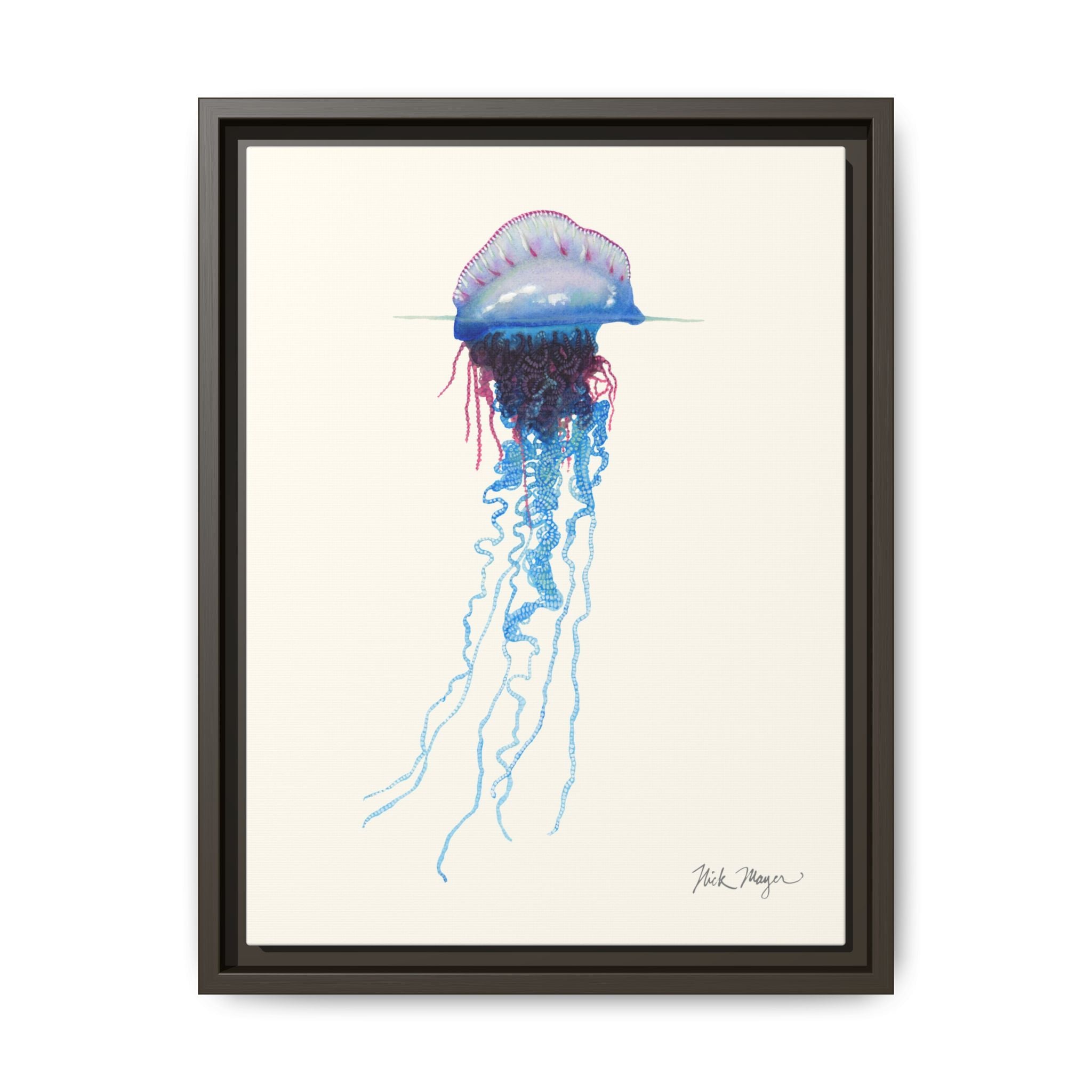 Portuguese Man O' War Framed Canvas Print Printify