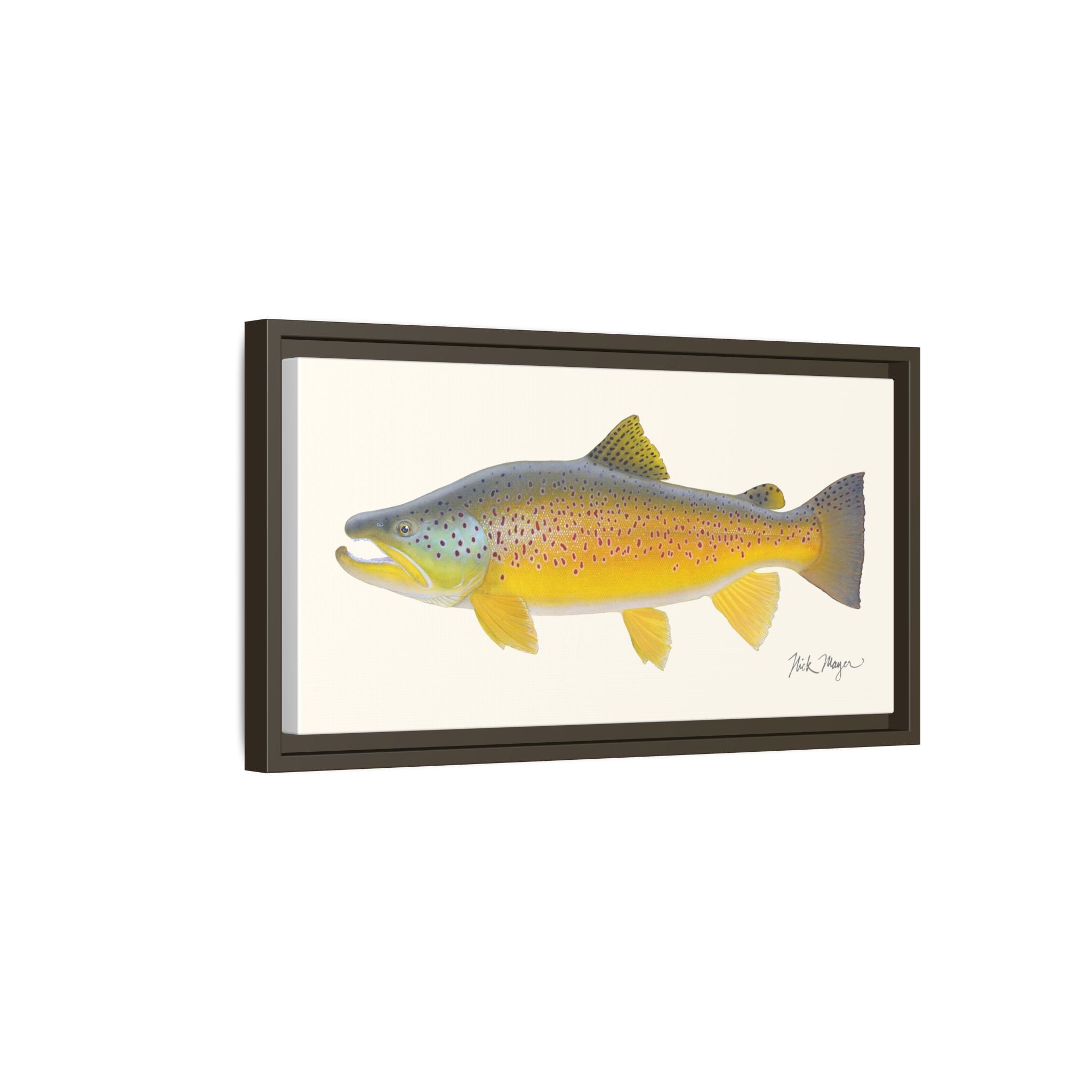 Brown Trout III Framed Canvas Print Printify