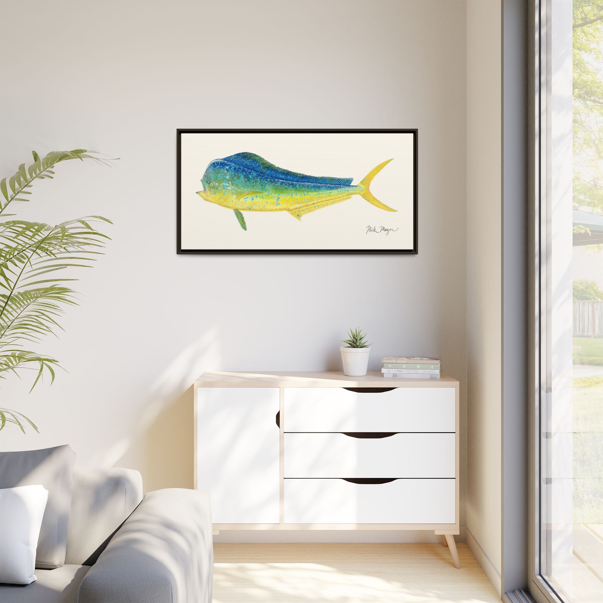 Bull Mahi Mahi Framed Canvas Print