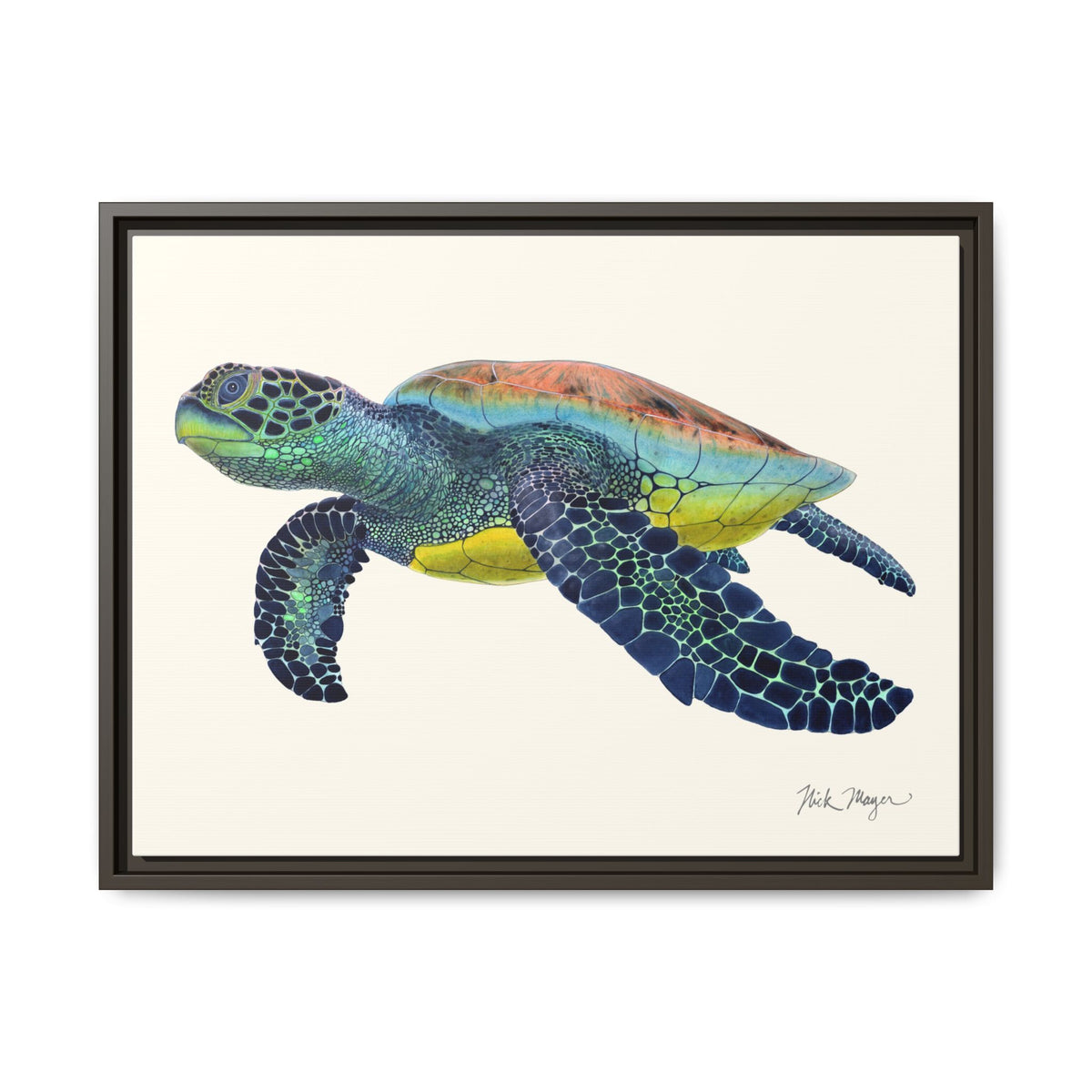Green Sea Turtle II Framed Canvas Print Printify