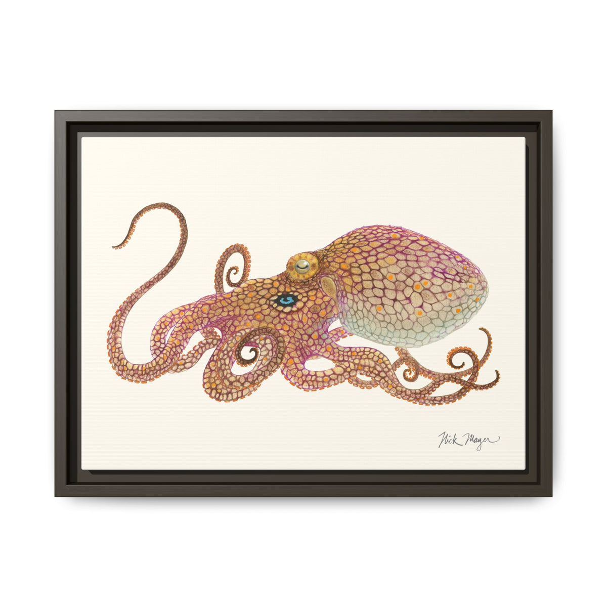 Two Spot Octopus Framed Canvas Print Printify