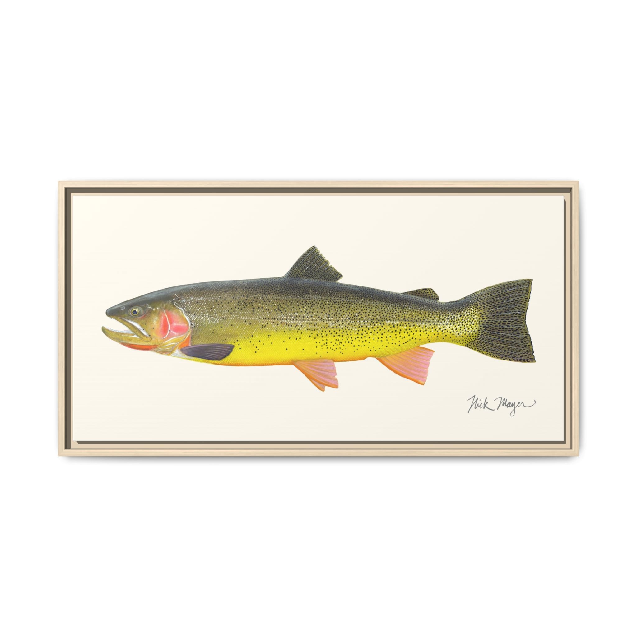 Cutthroat Trout III Framed Canvas Print Printify
