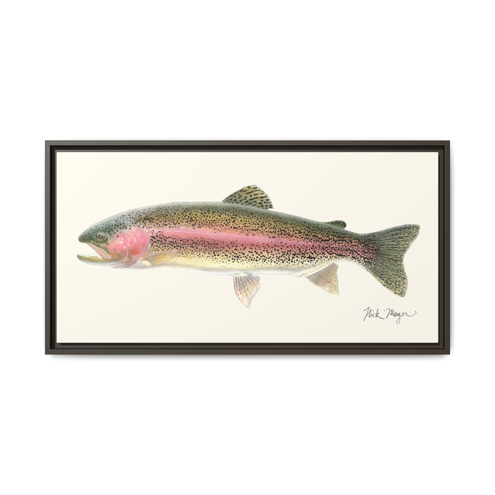 Rainbow Trout Framed Canvas Print Printify