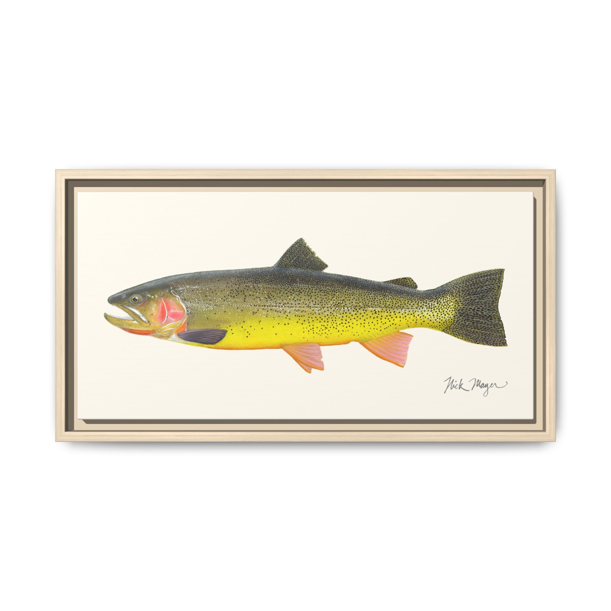 Cutthroat Trout III Framed Canvas Print Printify