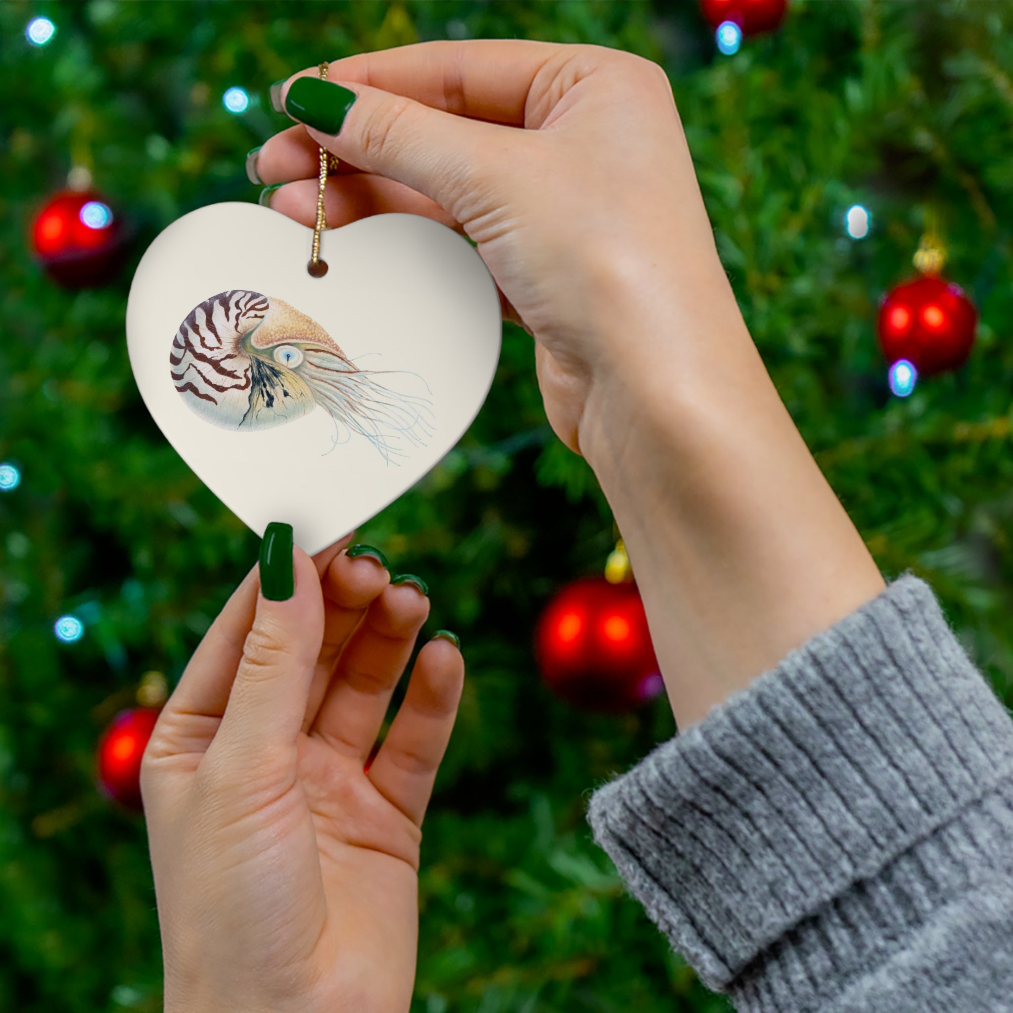 Chambered Nautilus Ceramic Ornament