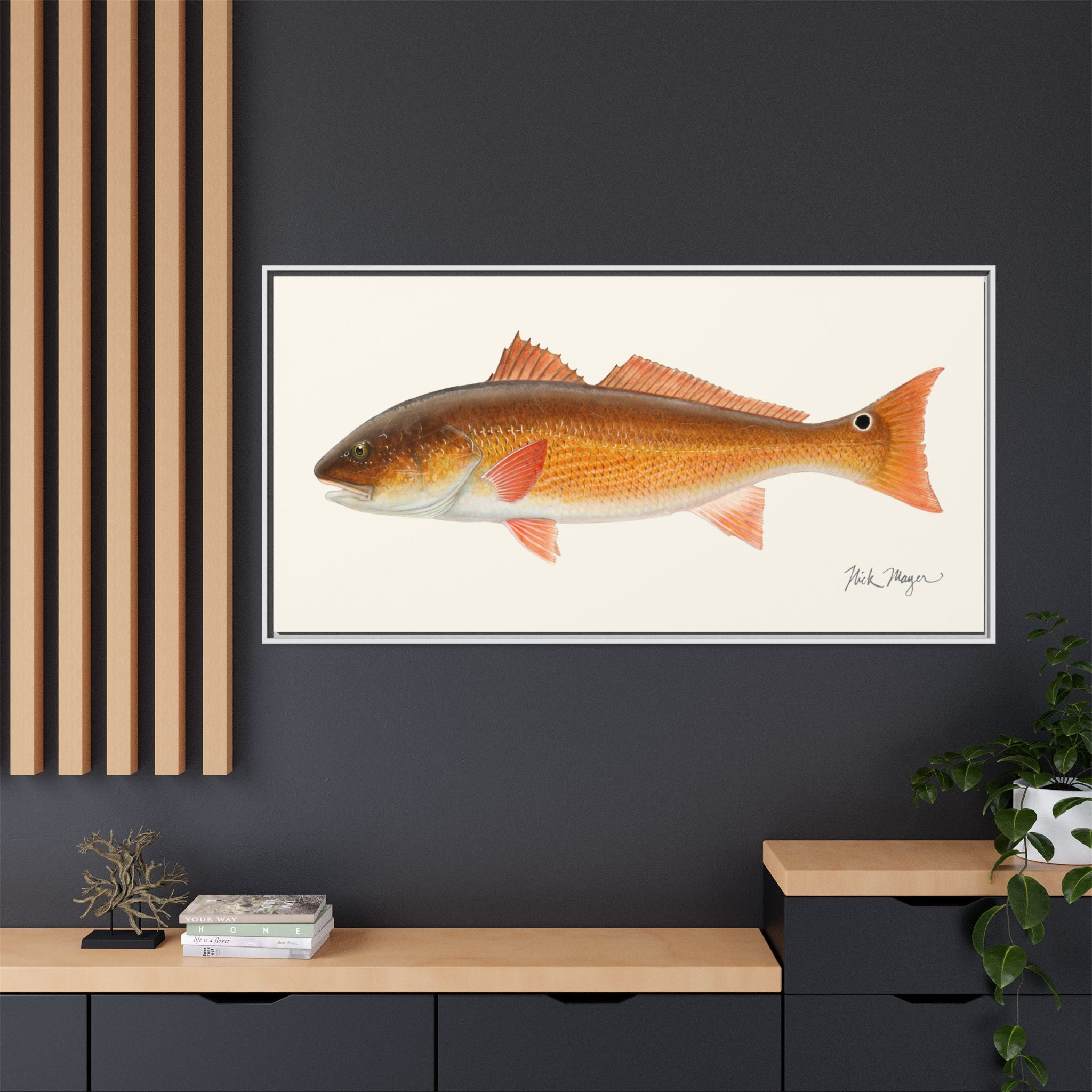 Redfish, 15 lbs Framed Canvas Print Printify