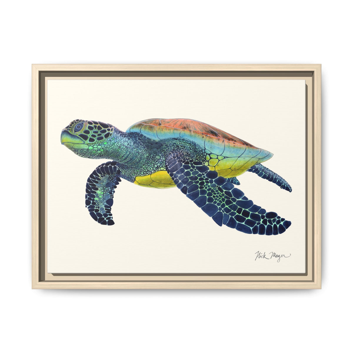 Green Sea Turtle II Framed Canvas Print Printify