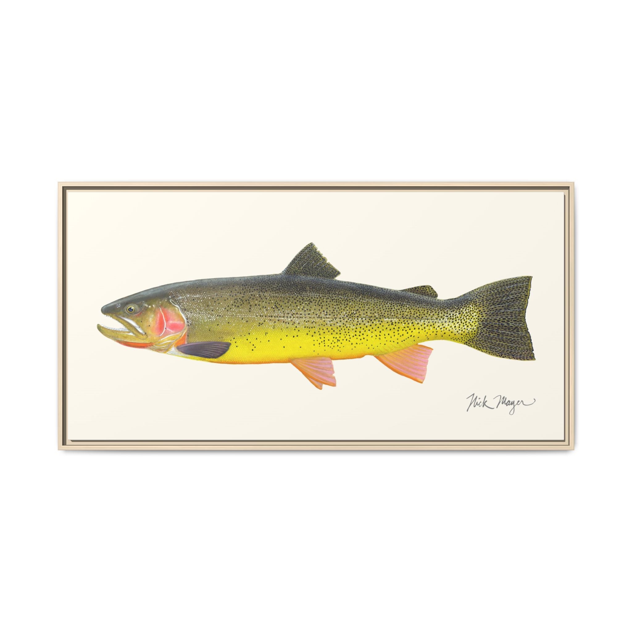 Cutthroat Trout III Framed Canvas Print Printify