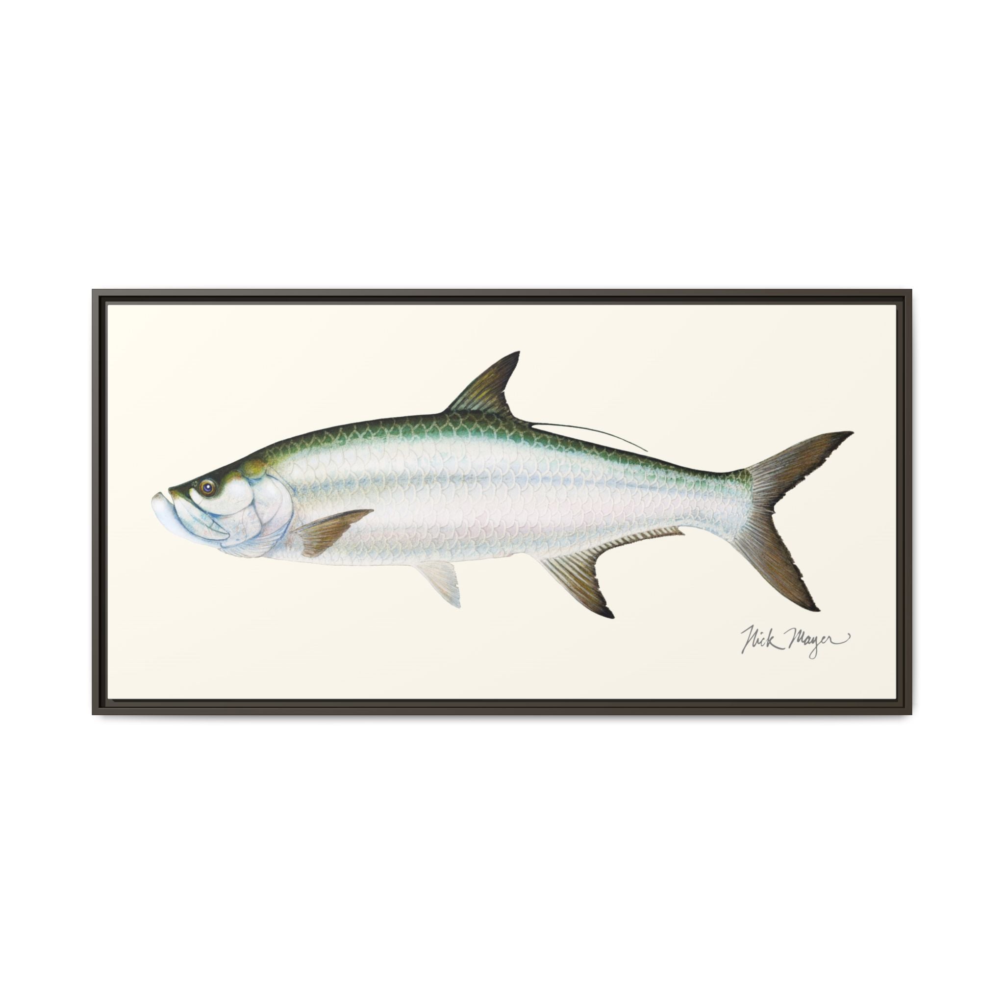 Tarpon Framed Canvas Print Printify