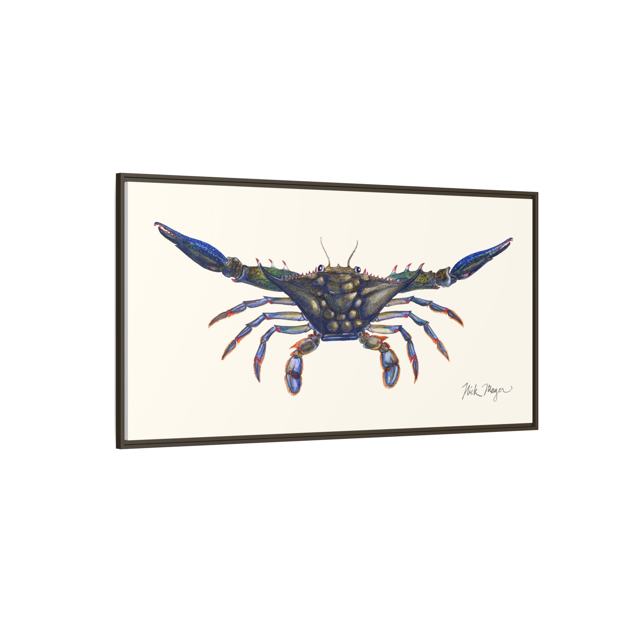 Blue Crab, Claws Out Framed Canvas Print Printify