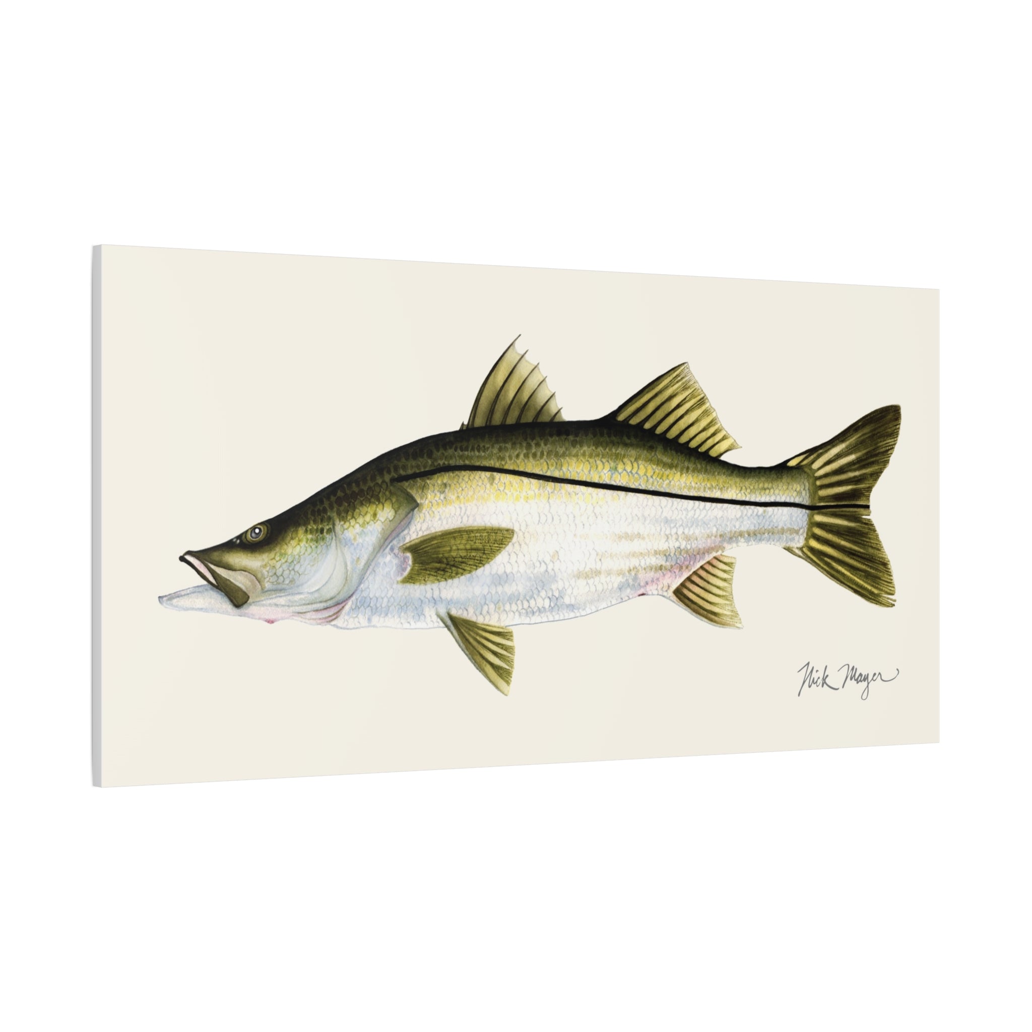 Snook Canvas Print