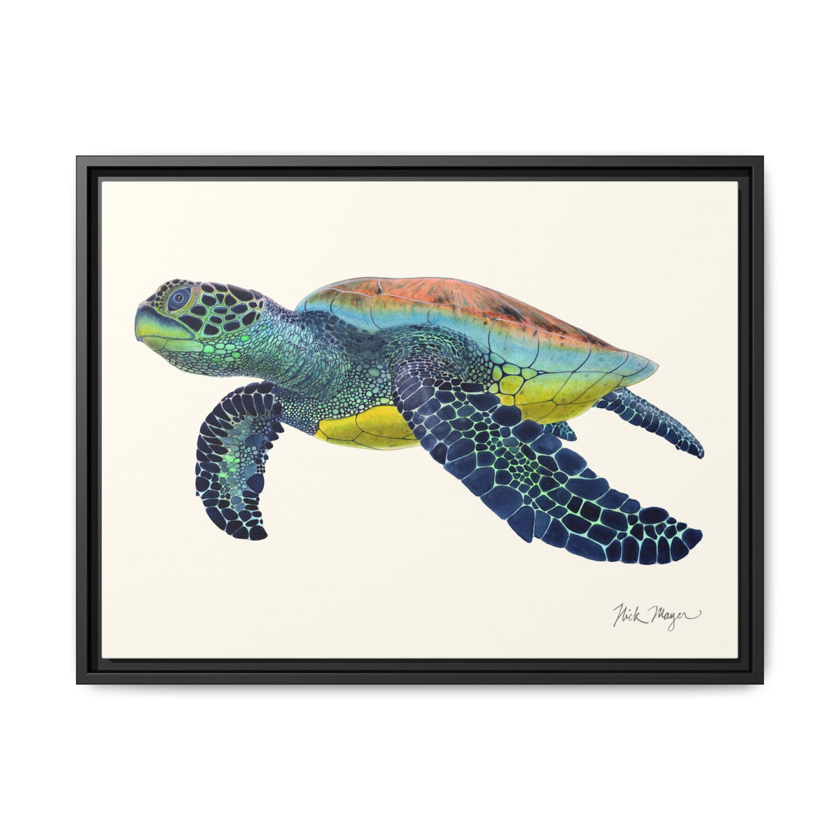 Green Sea Turtle II Framed Canvas Print Printify