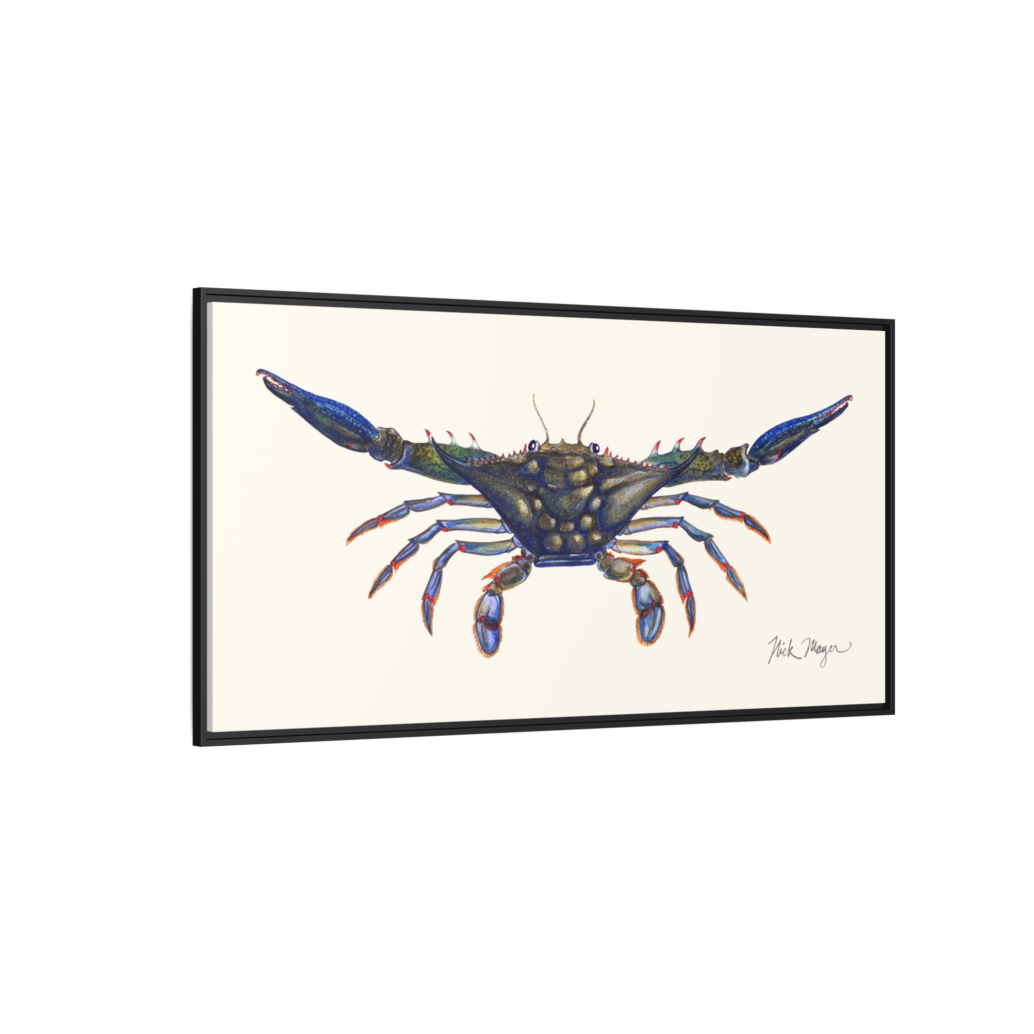 Blue Crab, Claws Out Framed Canvas Print Printify