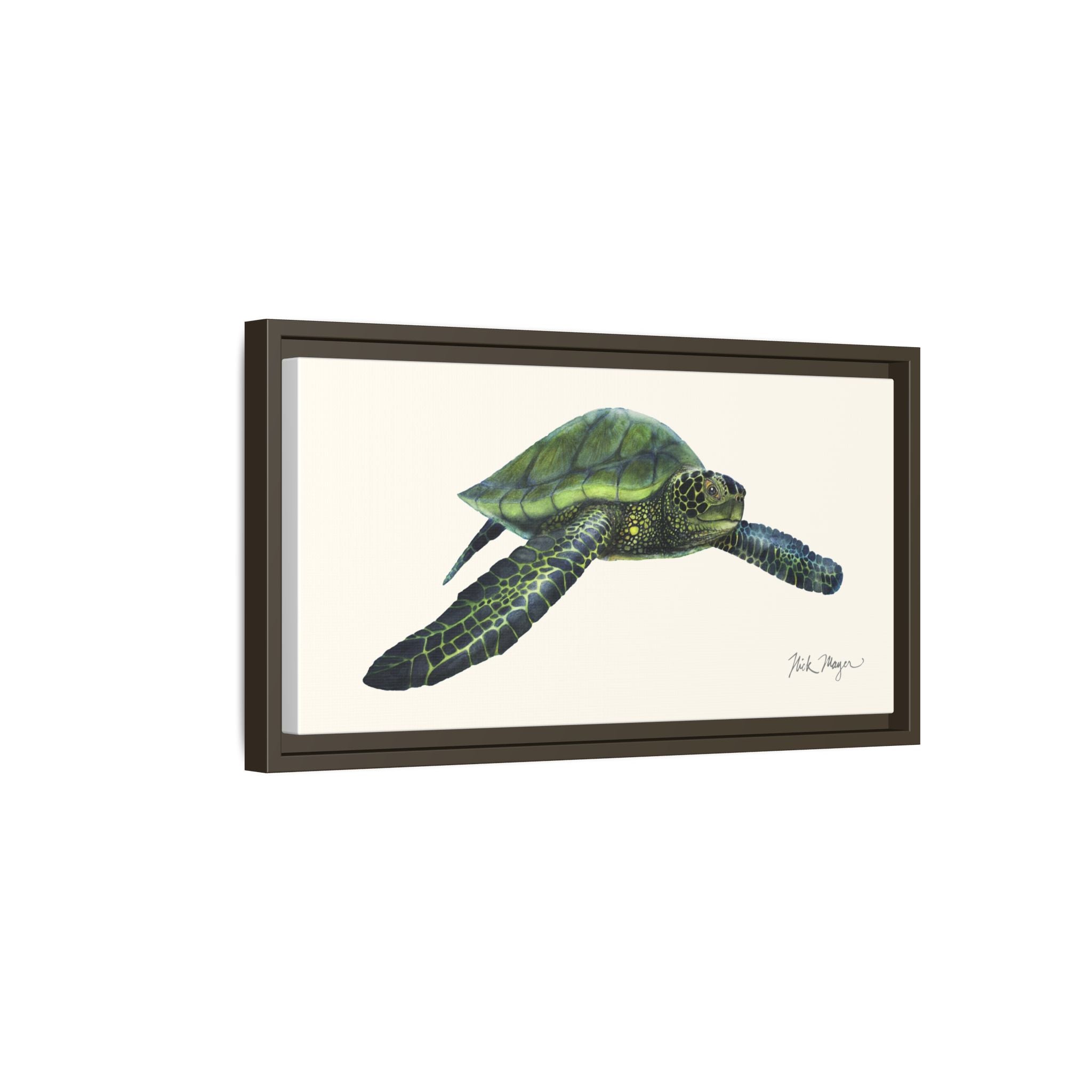 Green Sea Turtle I Framed Canvas Print Printify