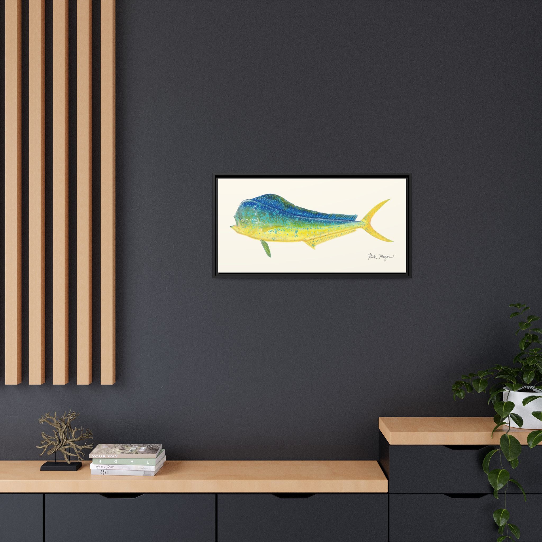 Bull Mahi Mahi Framed Canvas Print