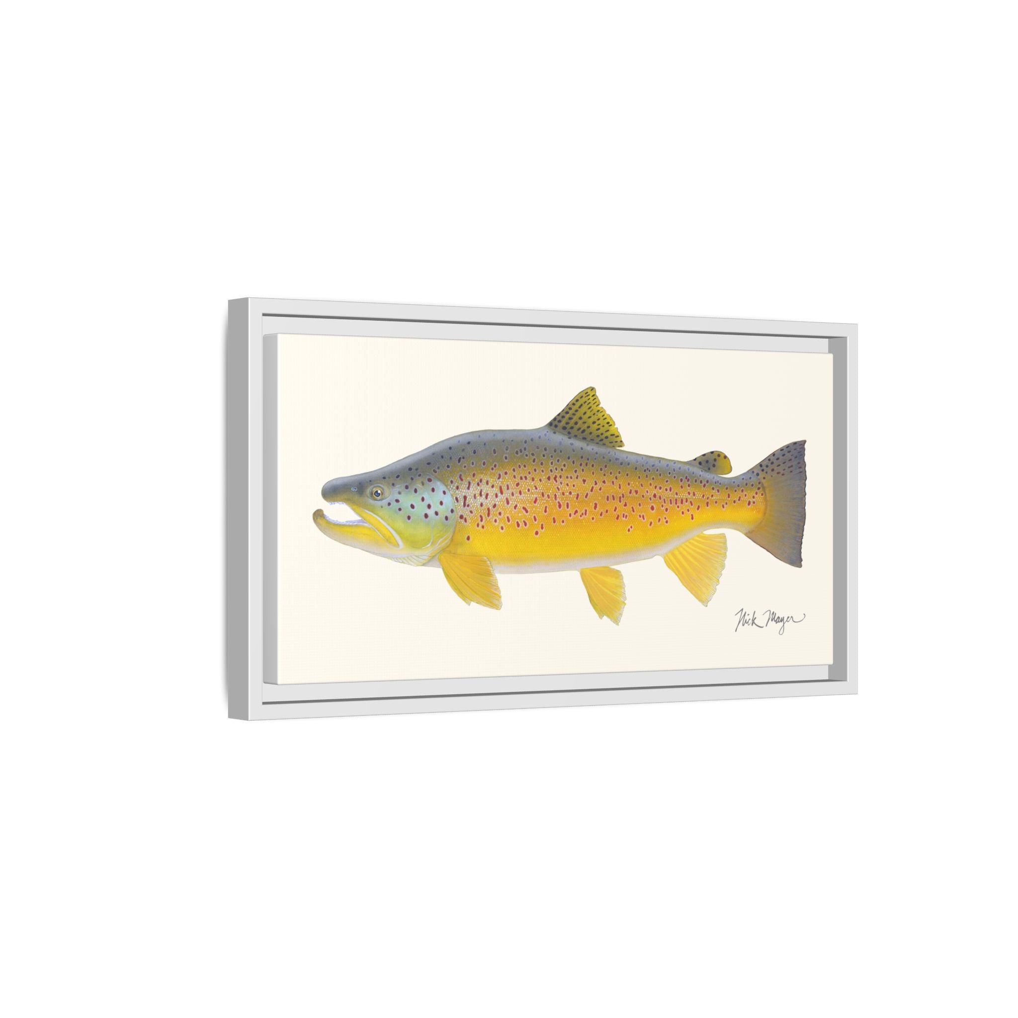 Brown Trout III Framed Canvas Print Printify
