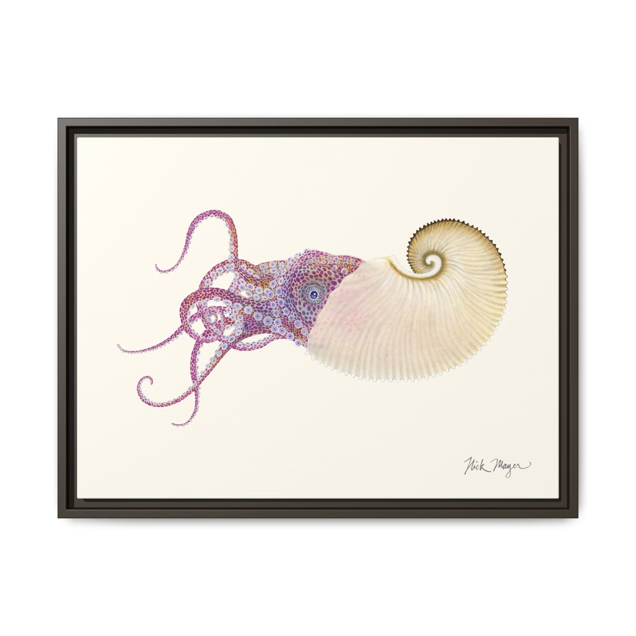 Paper Nautilus Framed Canvas Print Printify