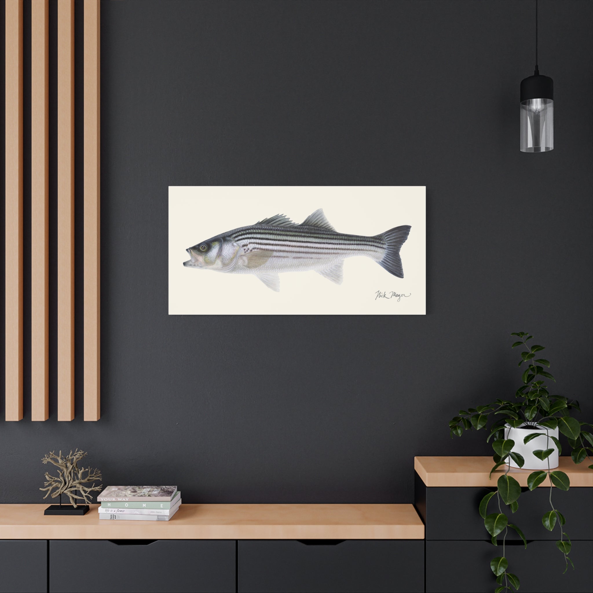 Schoolie Striped Bass Canvas Print