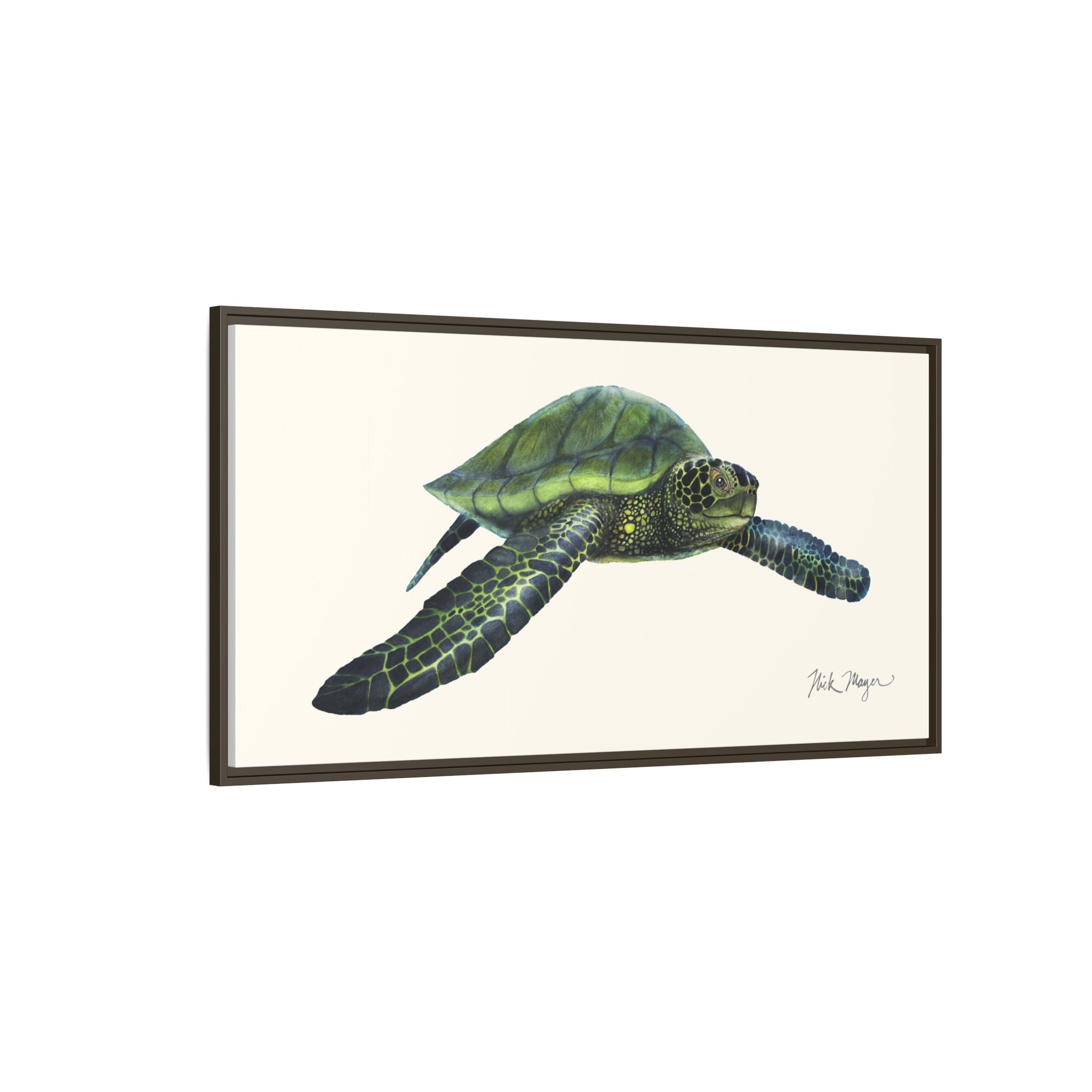 Green Sea Turtle I Framed Canvas Print Printify