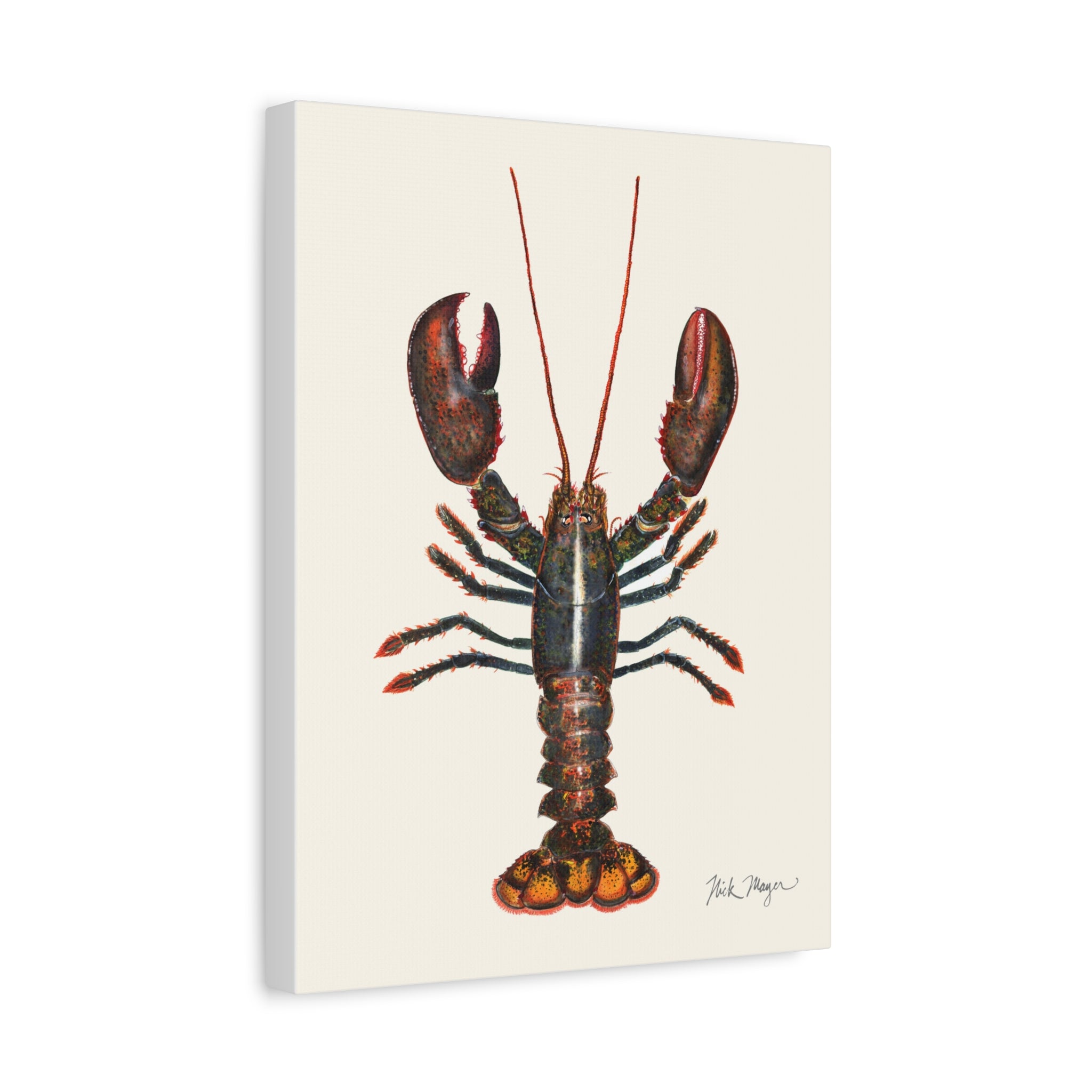 Northern Lobster Canvas Print