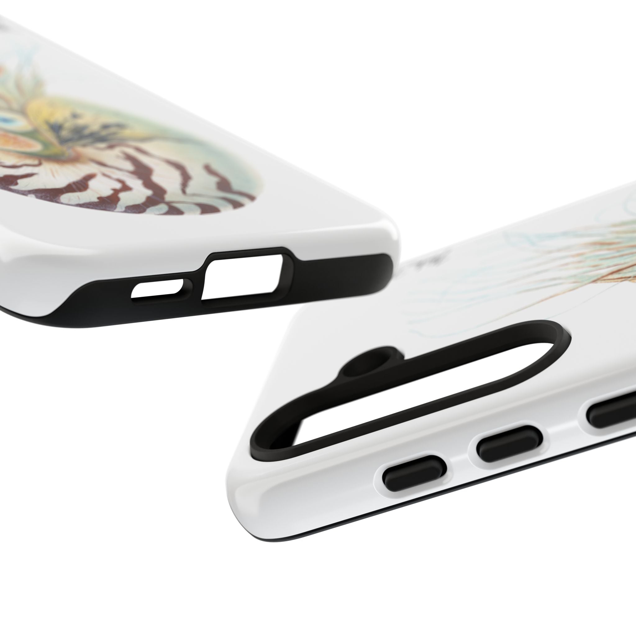 Chambered Nautilus Phone Case (Samsung) Printify