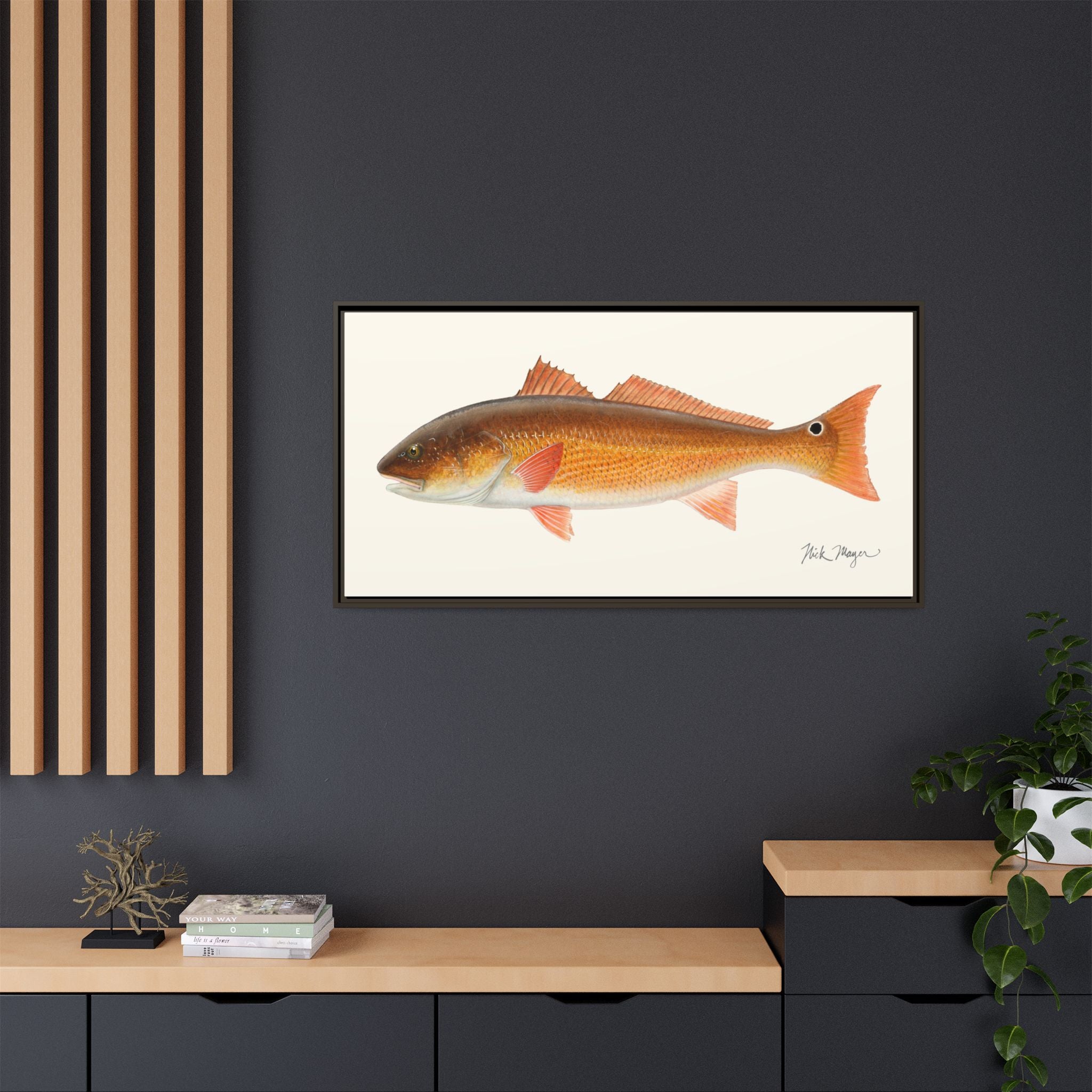 Redfish, 15 lbs Framed Canvas Print Printify