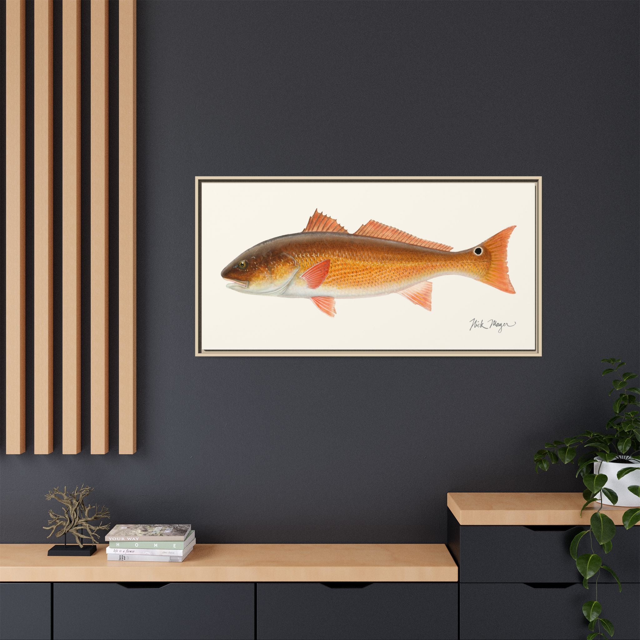 Redfish, 15 lbs Framed Canvas Print Printify