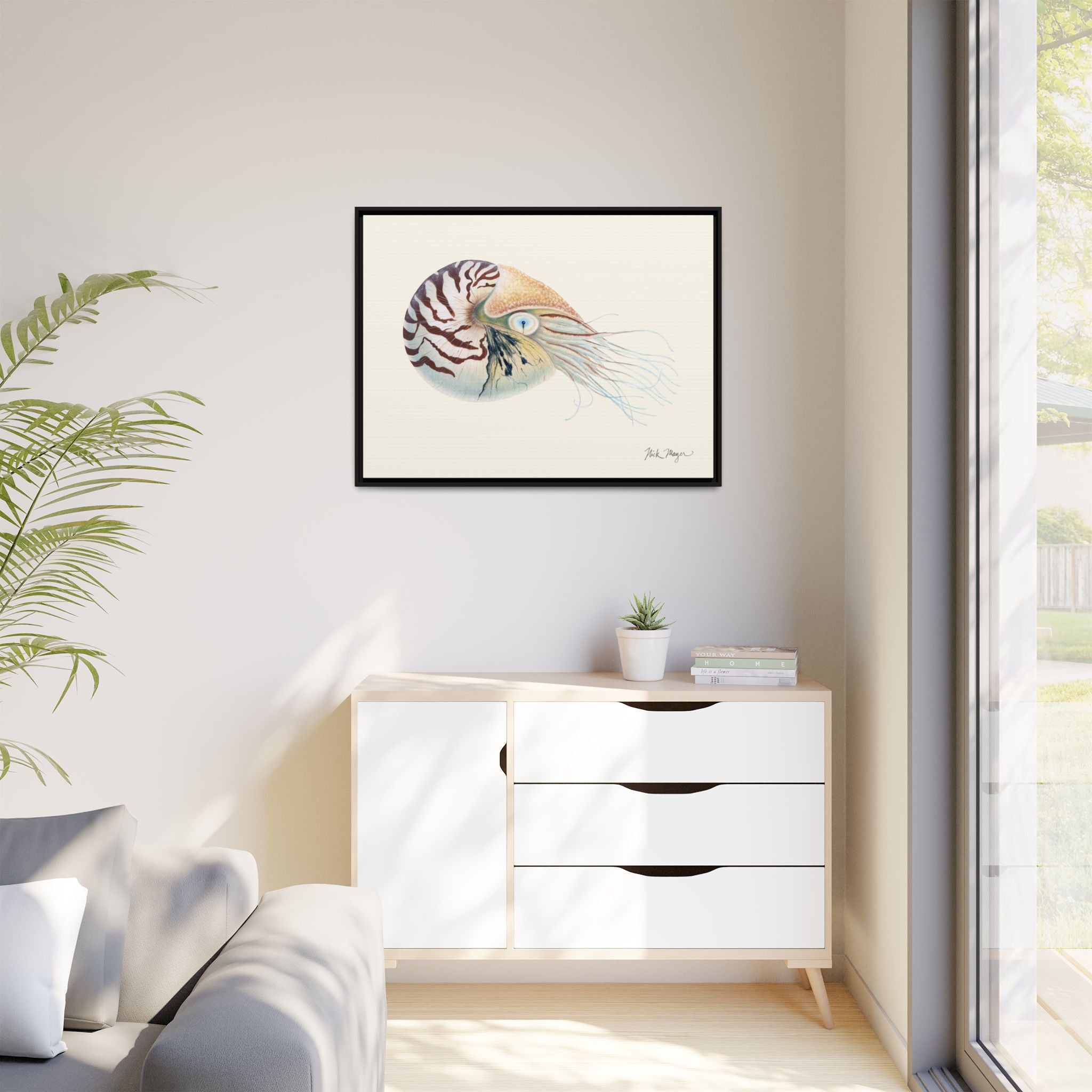 Chambered Nautilus Framed Canvas Print Printify