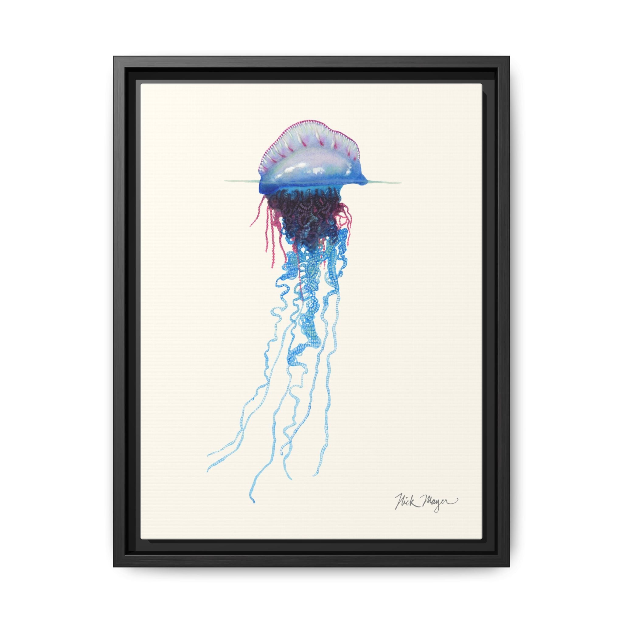 Portuguese Man O' War Framed Canvas Print Printify