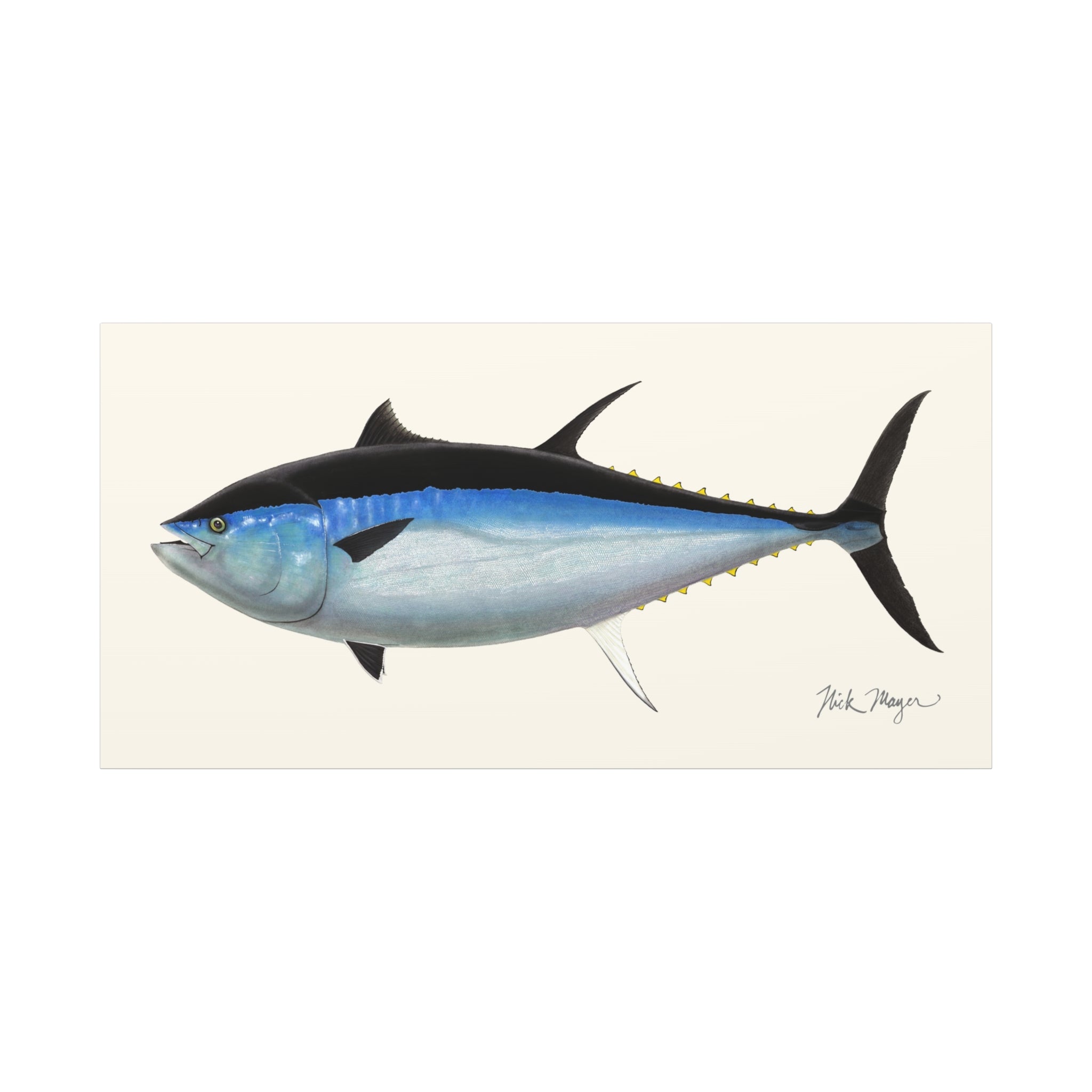 Giant Bluefin Tuna III Canvas Print