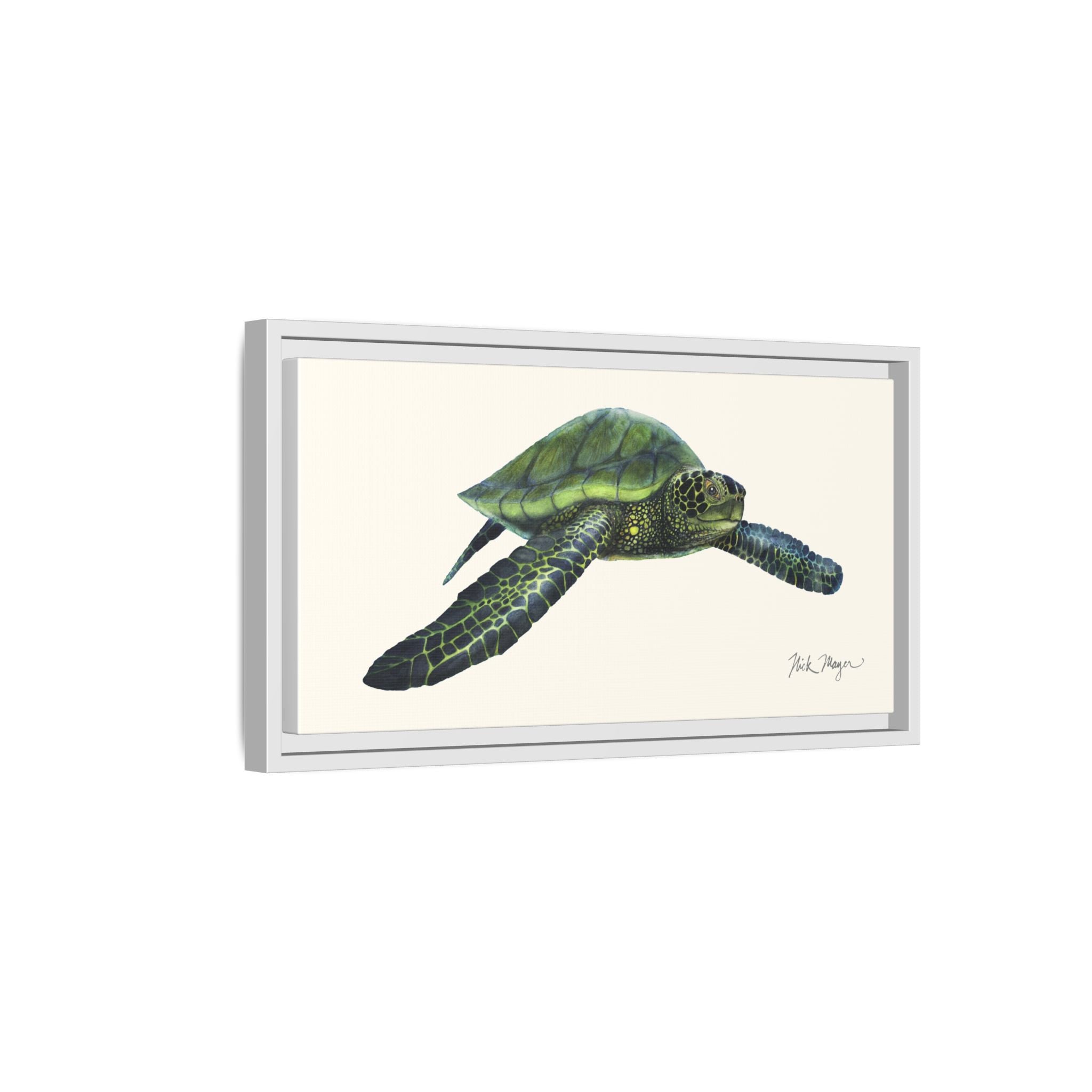 Green Sea Turtle I Framed Canvas Print Printify