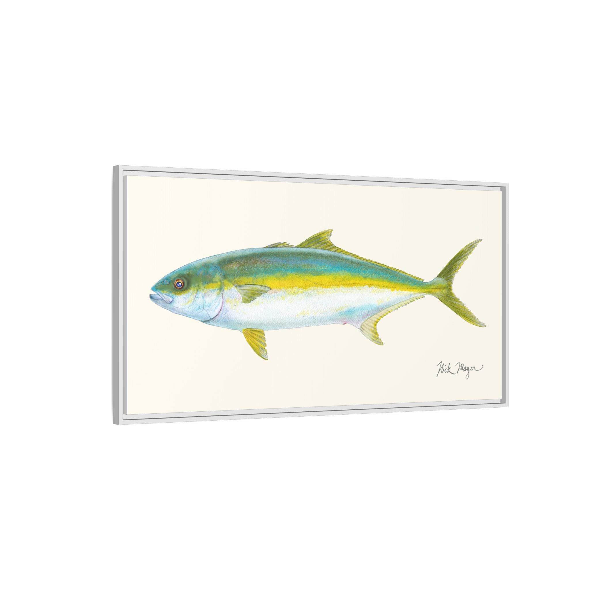 California Yellowtail I Framed Canvas Print Printify