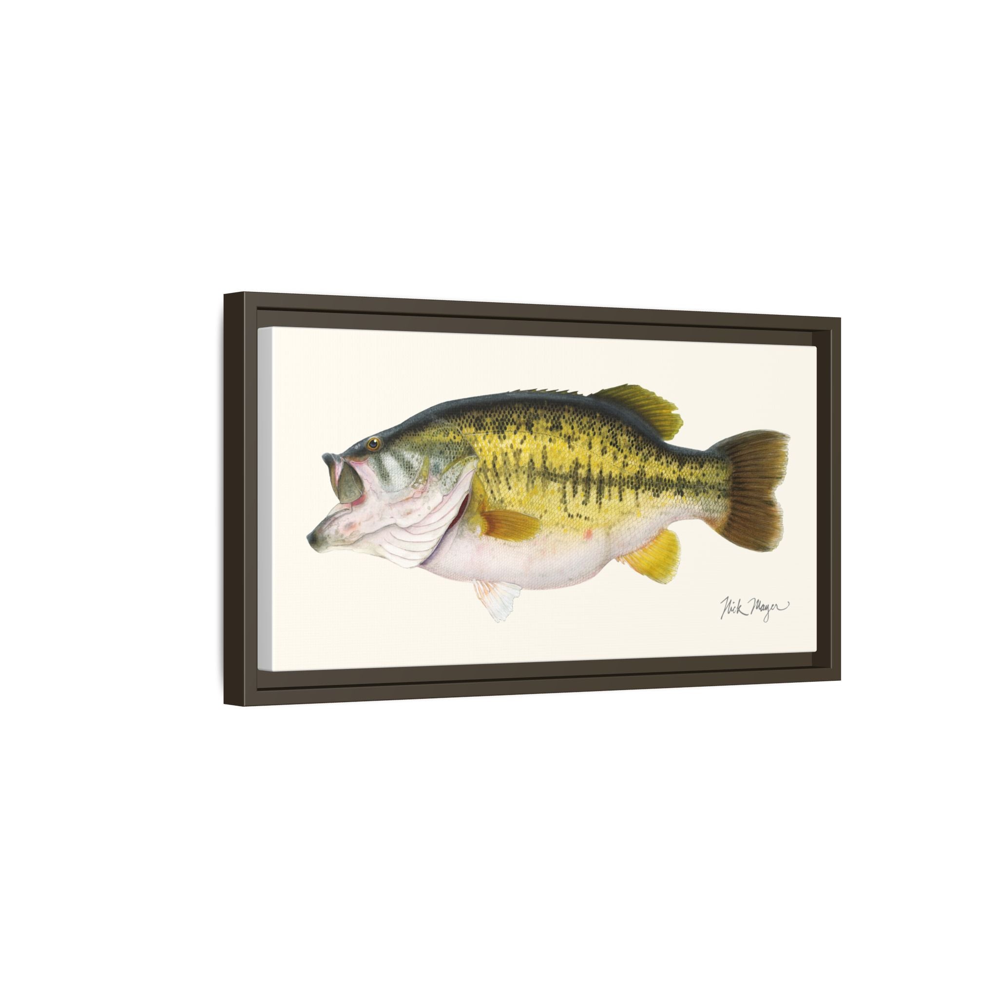 Largemouth Bass II Framed Canvas Print
