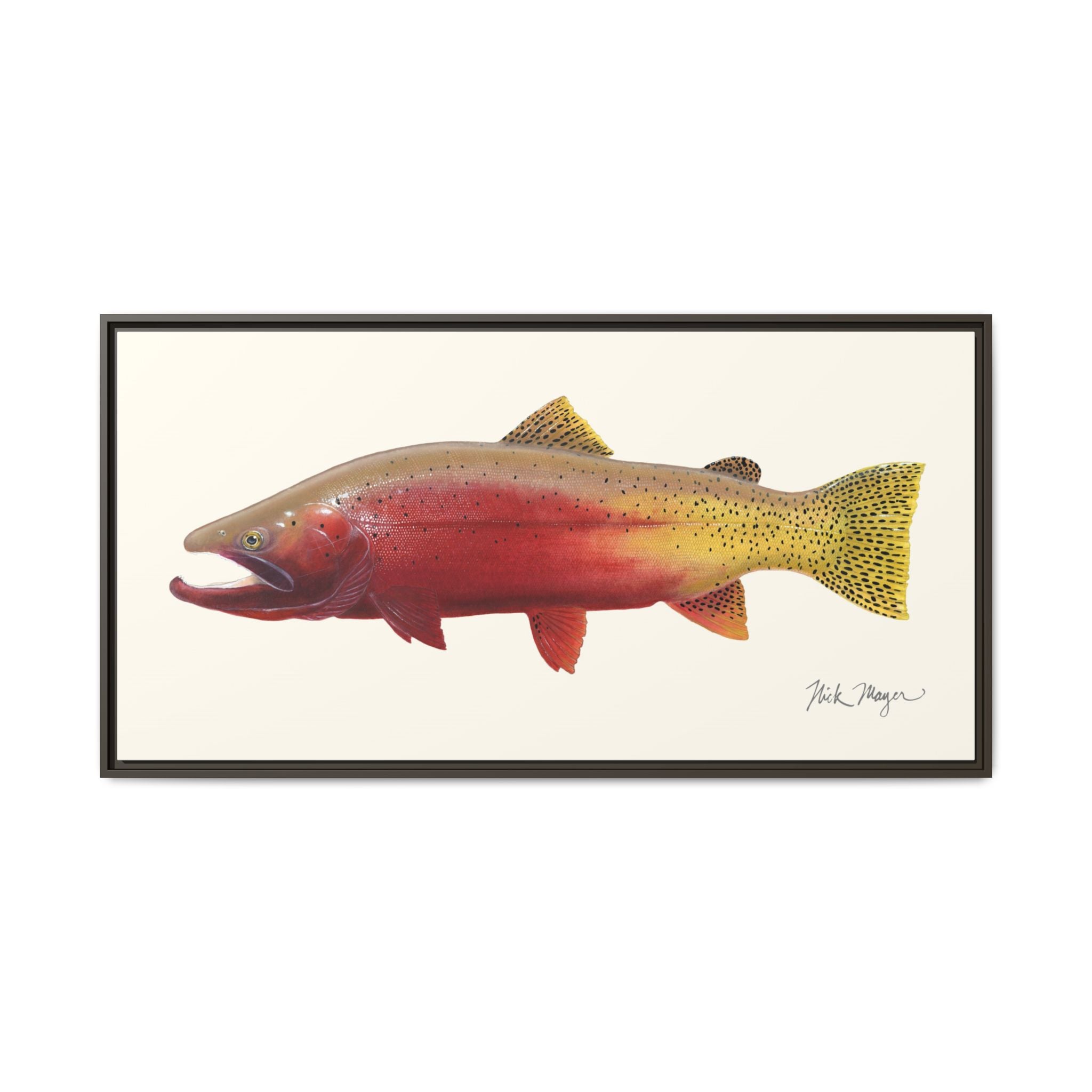 Cutthroat Trout II Framed Canvas Print Printify