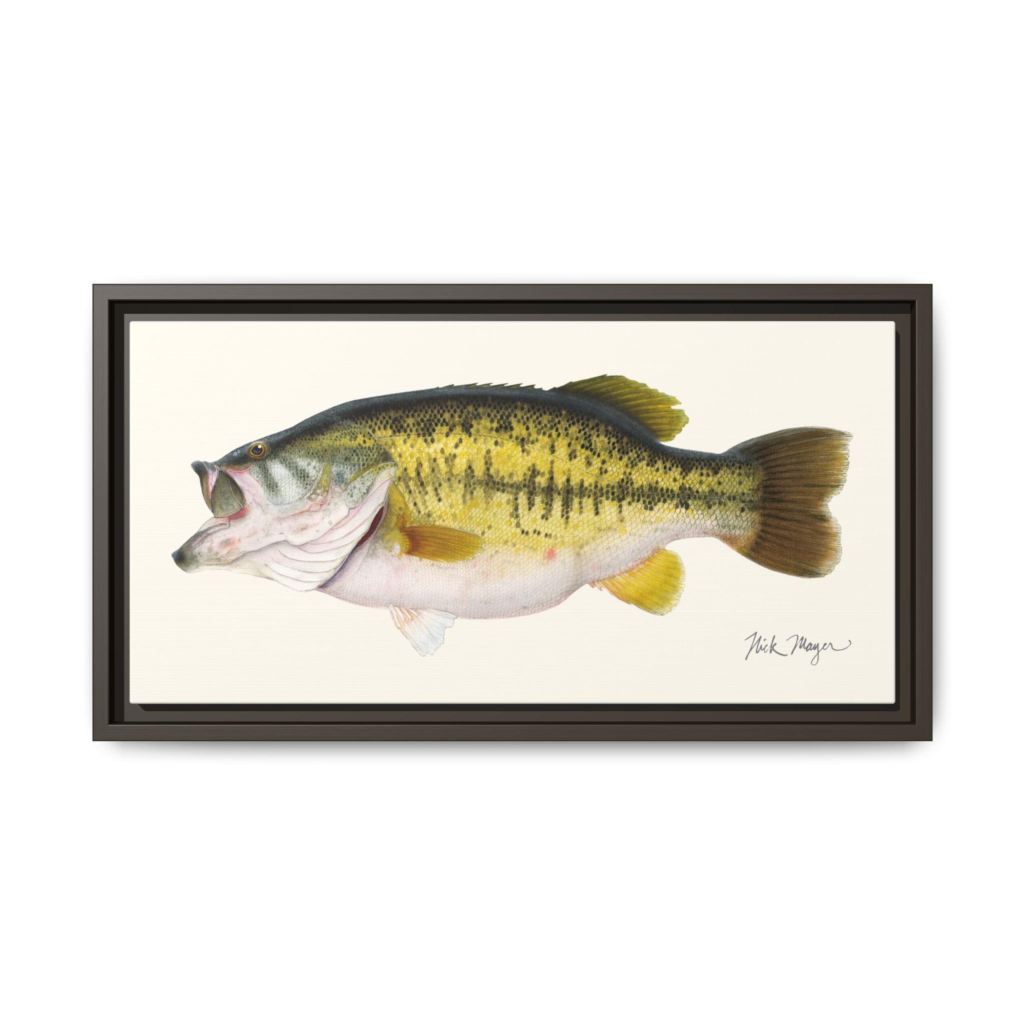 Largemouth Bass II Framed Canvas Print