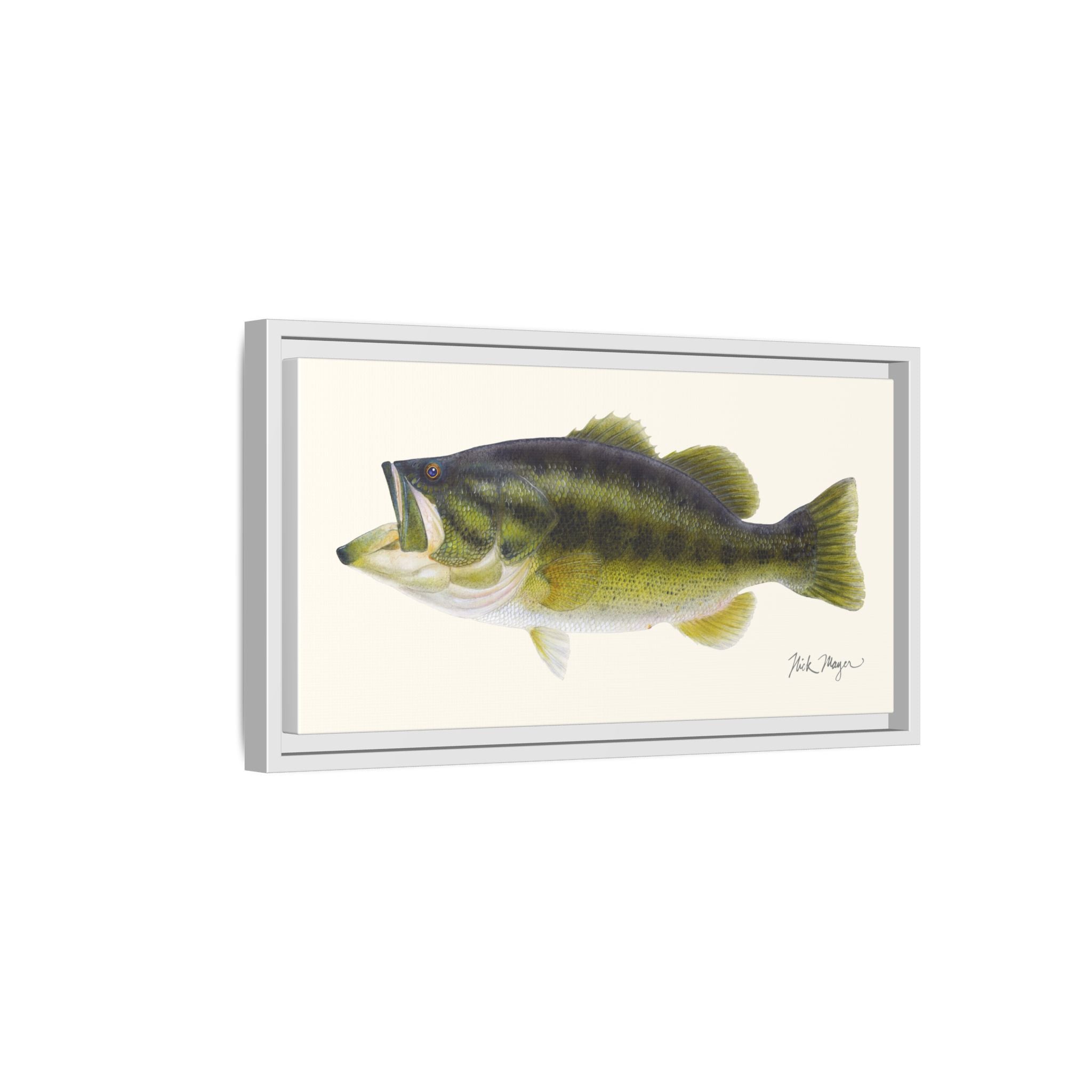 Largemouth Bass I Framed Canvas Print Printify