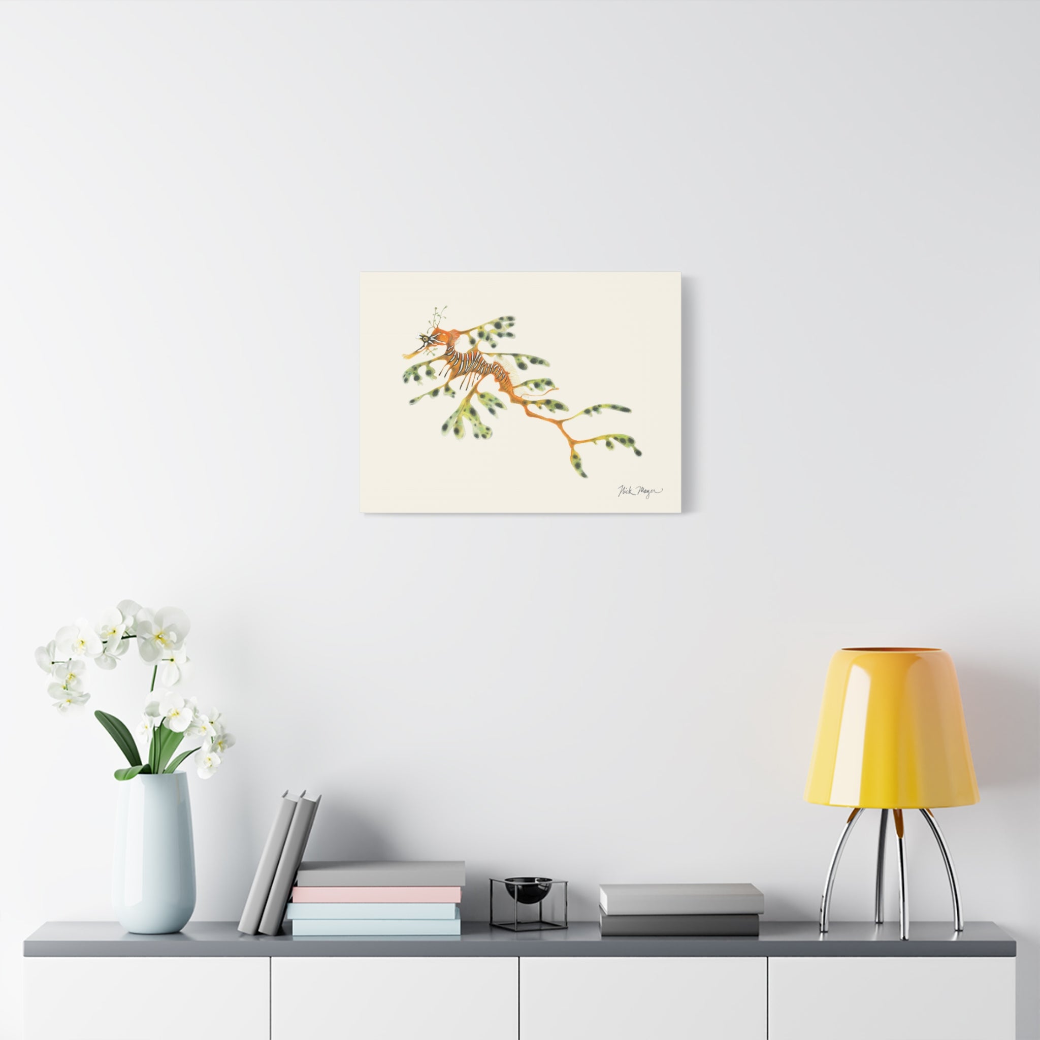 Leafy Sea Dragon Canvas Print