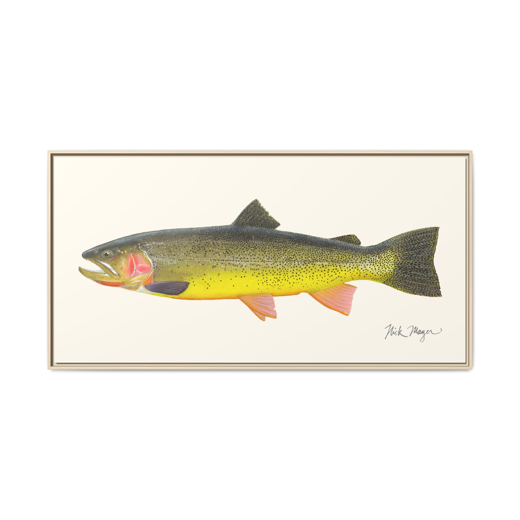 Cutthroat Trout III Framed Canvas Print Printify