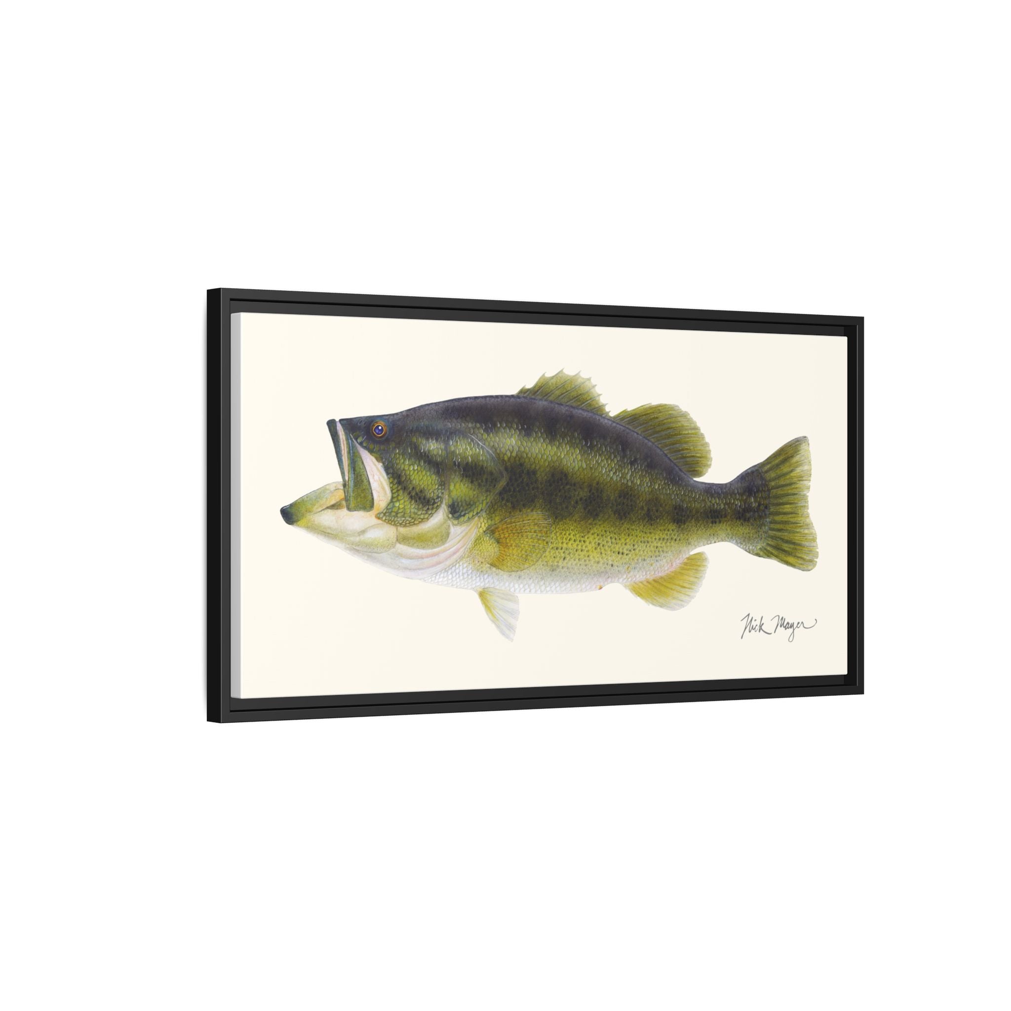 Largemouth Bass I Framed Canvas Print Printify