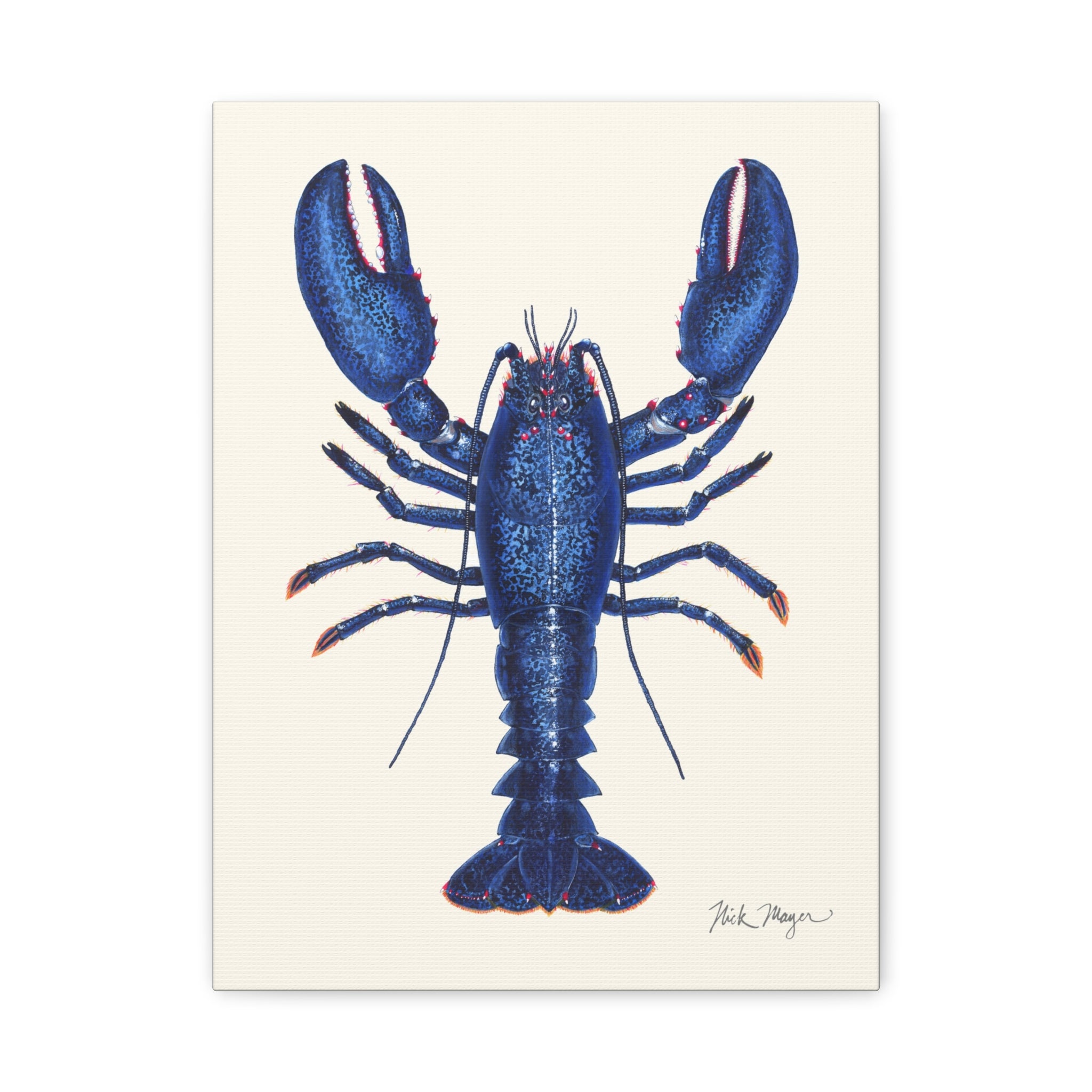 Blue Lobster II Canvas Print