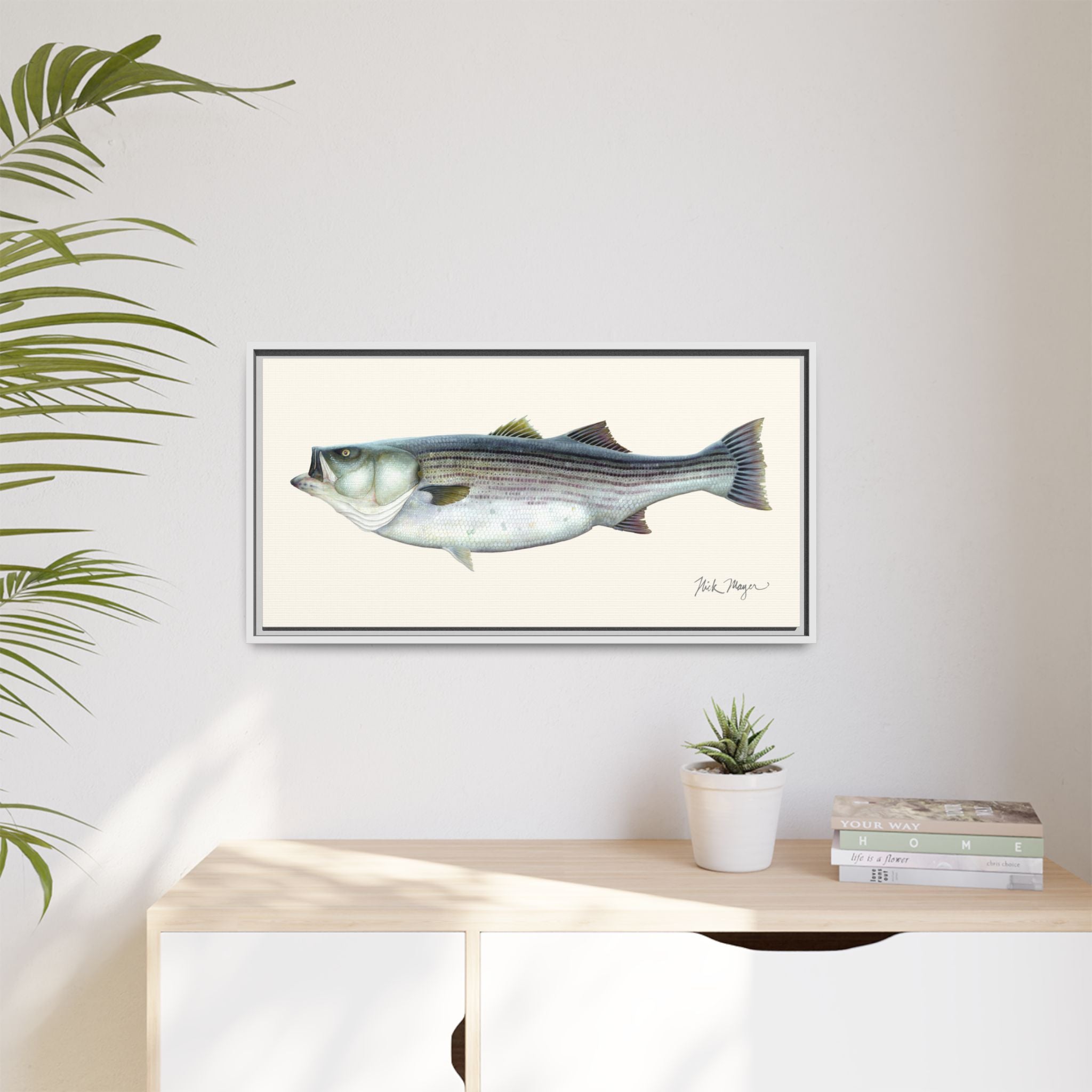 Striped Bass, 60 lbs Framed Canvas Print Printify