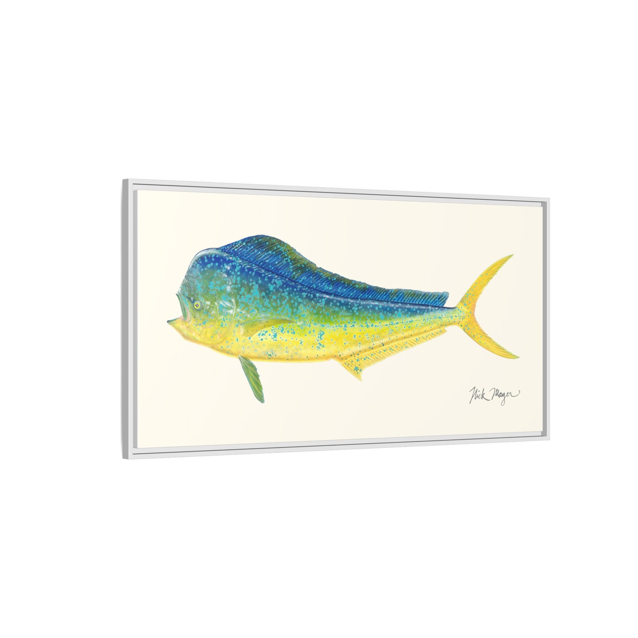 Bull Mahi Mahi Framed Canvas Print