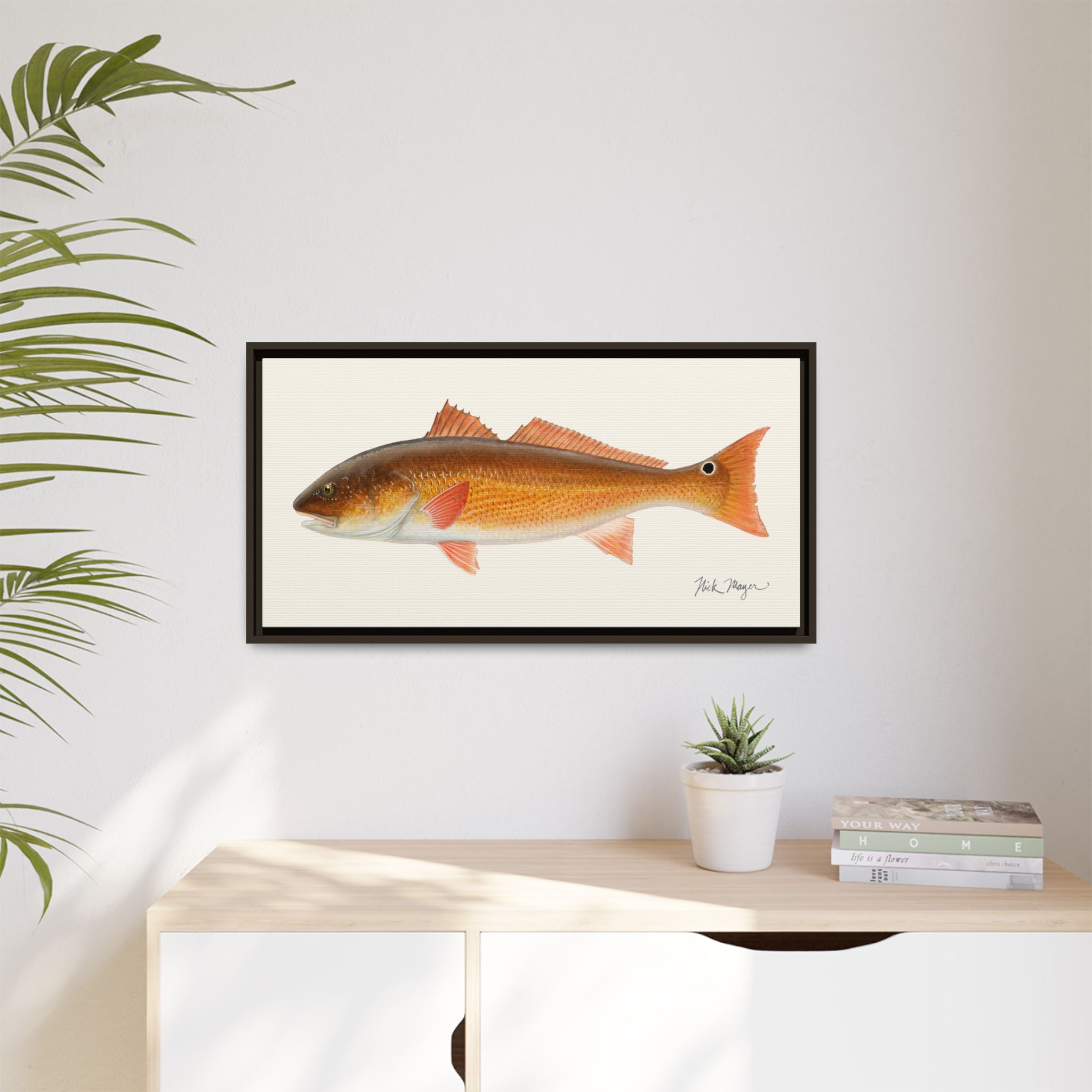 Redfish, 15 lbs Framed Canvas Print Printify