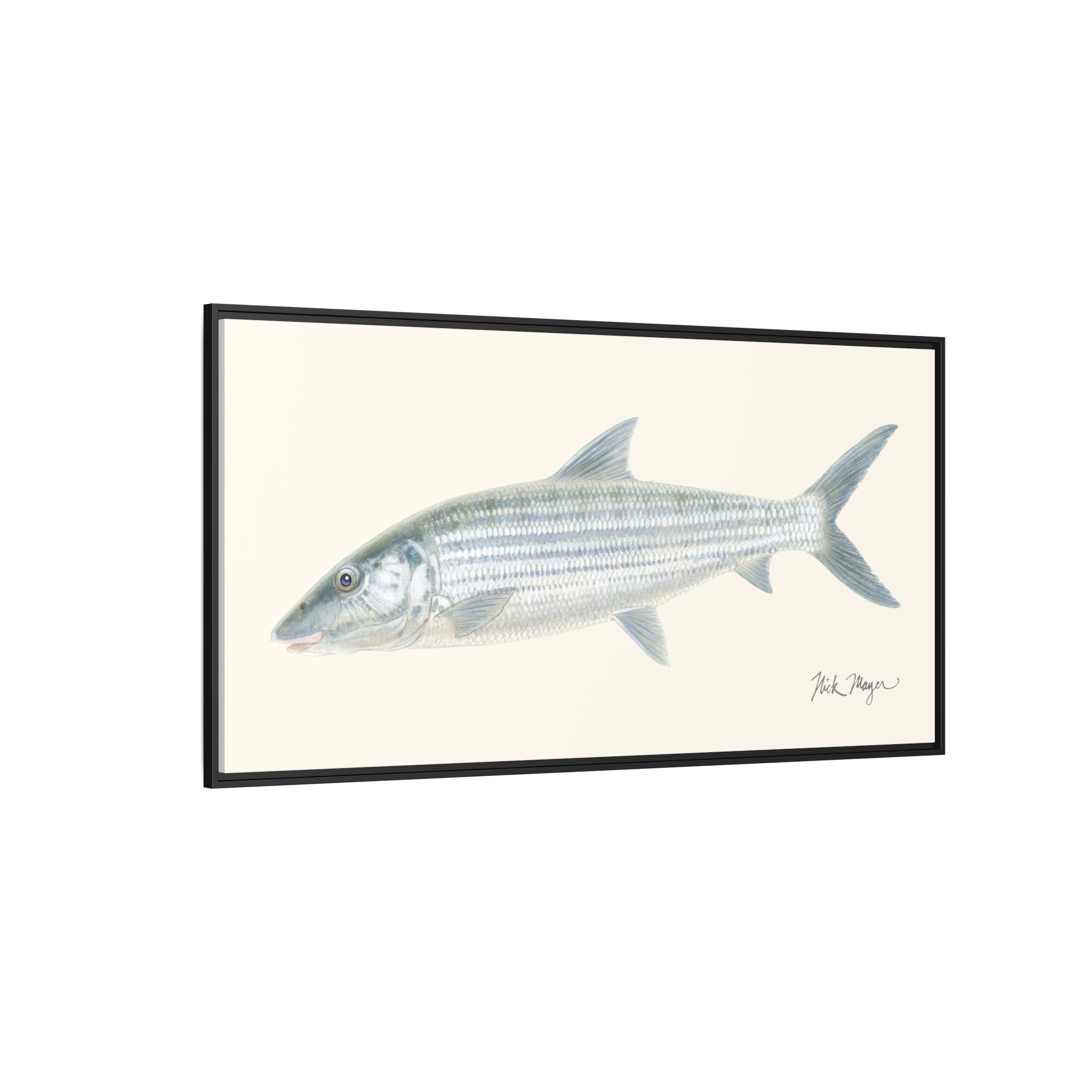 Bonefish Framed Canvas Print Printify